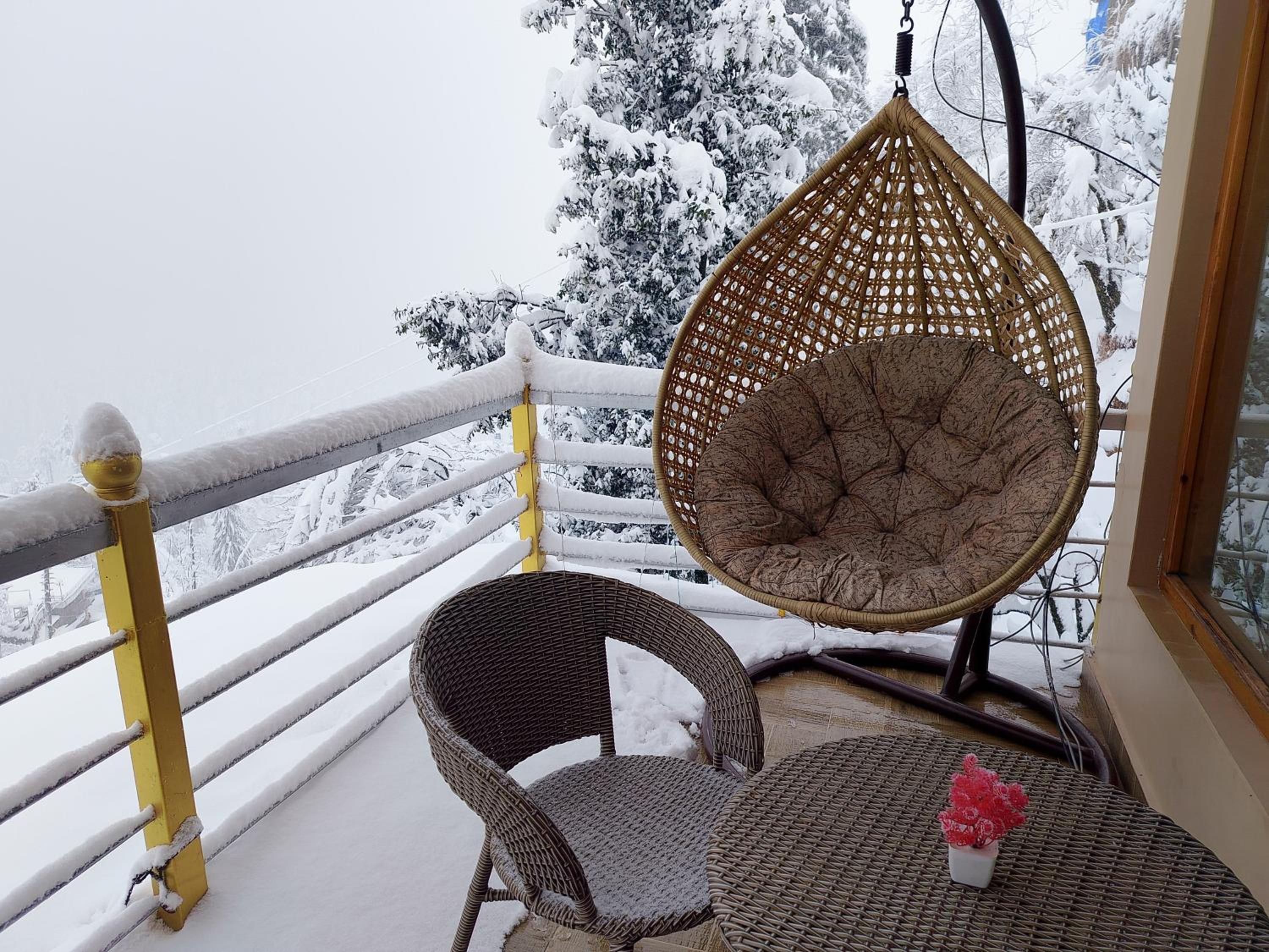 Forest View Homestay