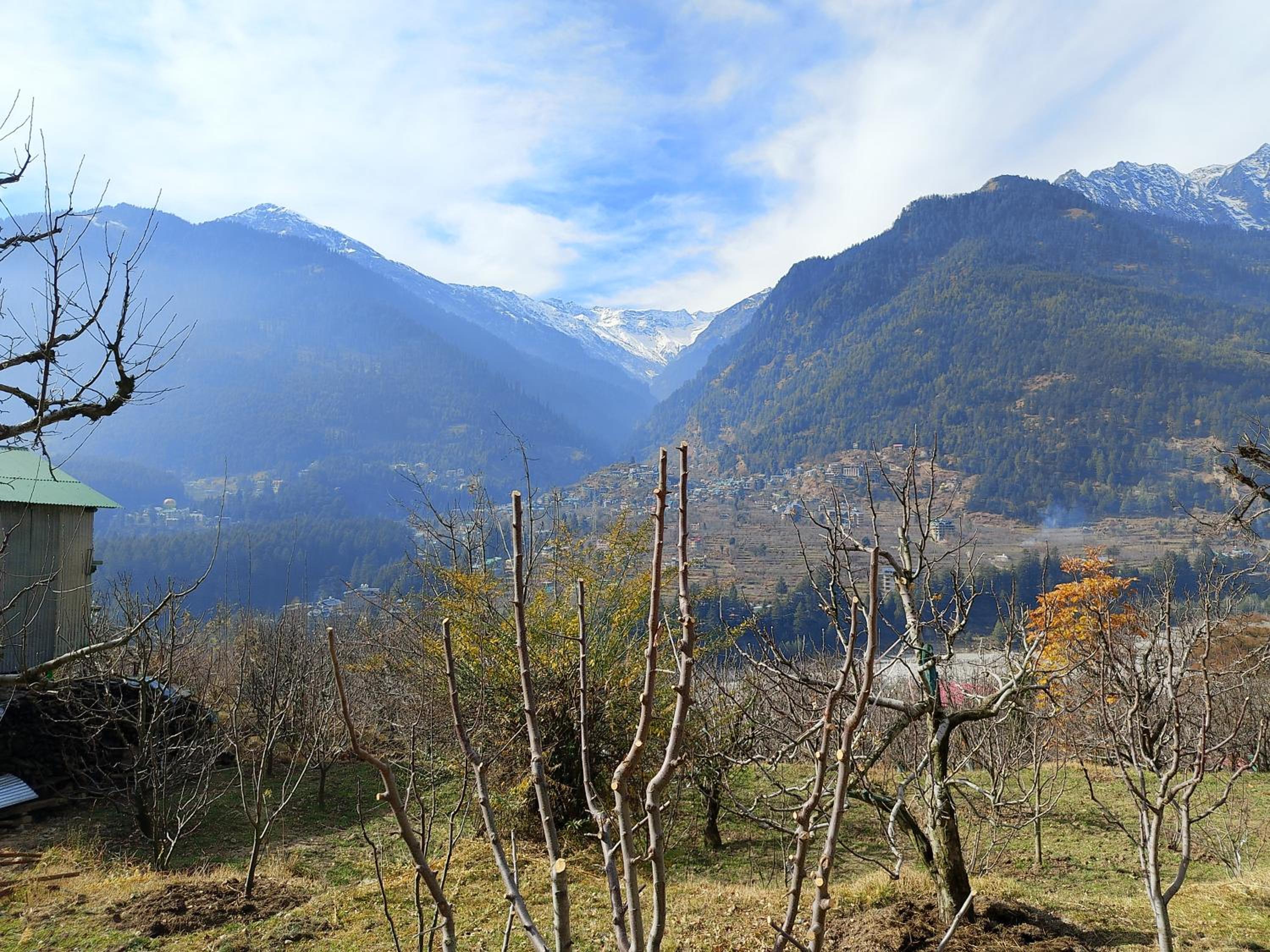 Forest View Homestay