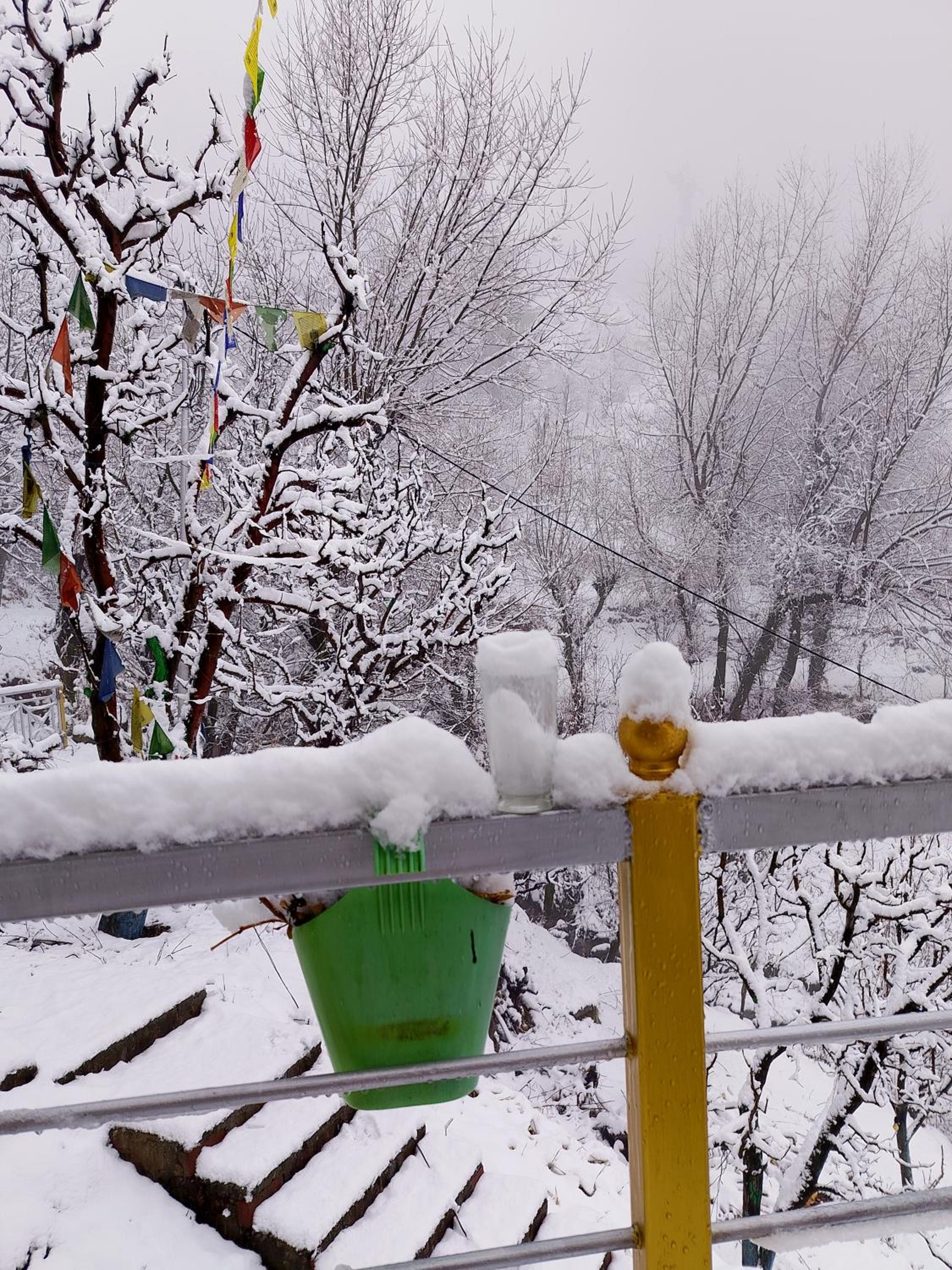 Forest View Homestay
