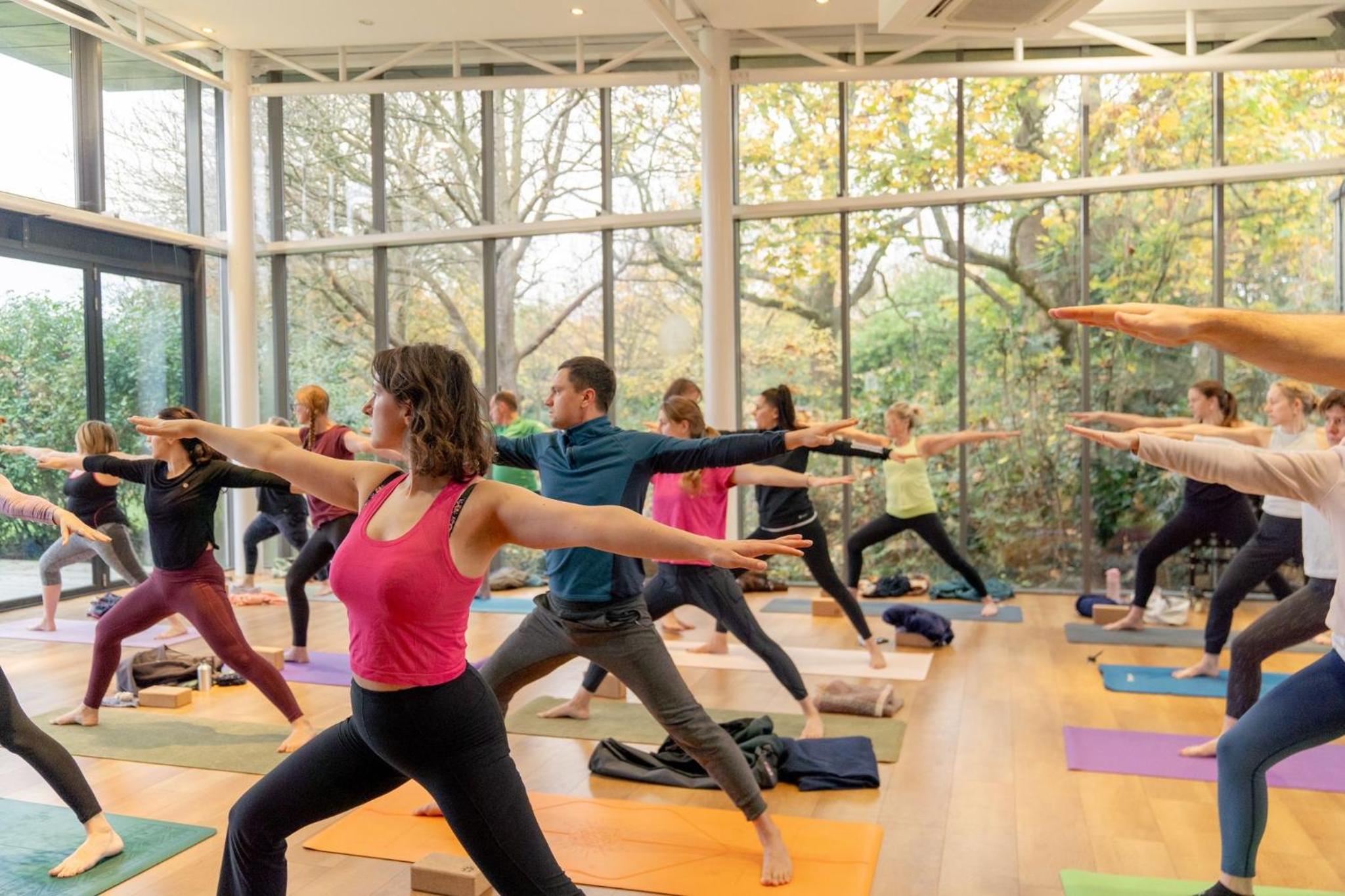 Beginners Relaxation Yoga Retreat 11-13th March 2025 with Plant Based Menu view 3