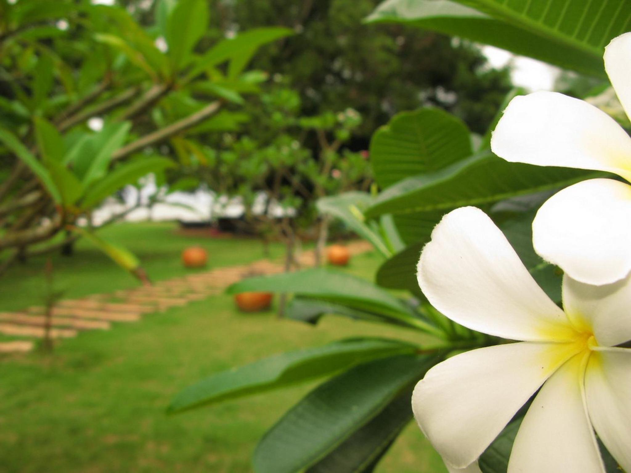 Baan Pun Sook Resort