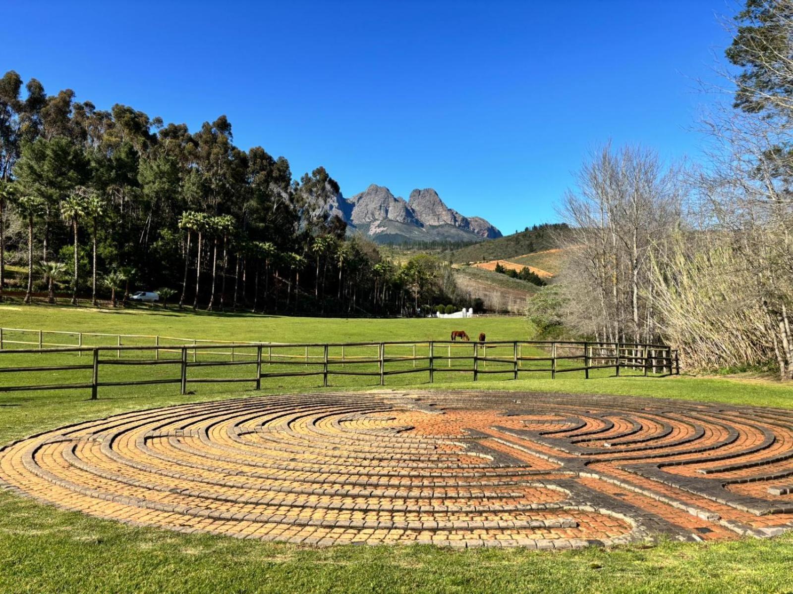 AfriCamps at Doolhof Wine Estate view 2