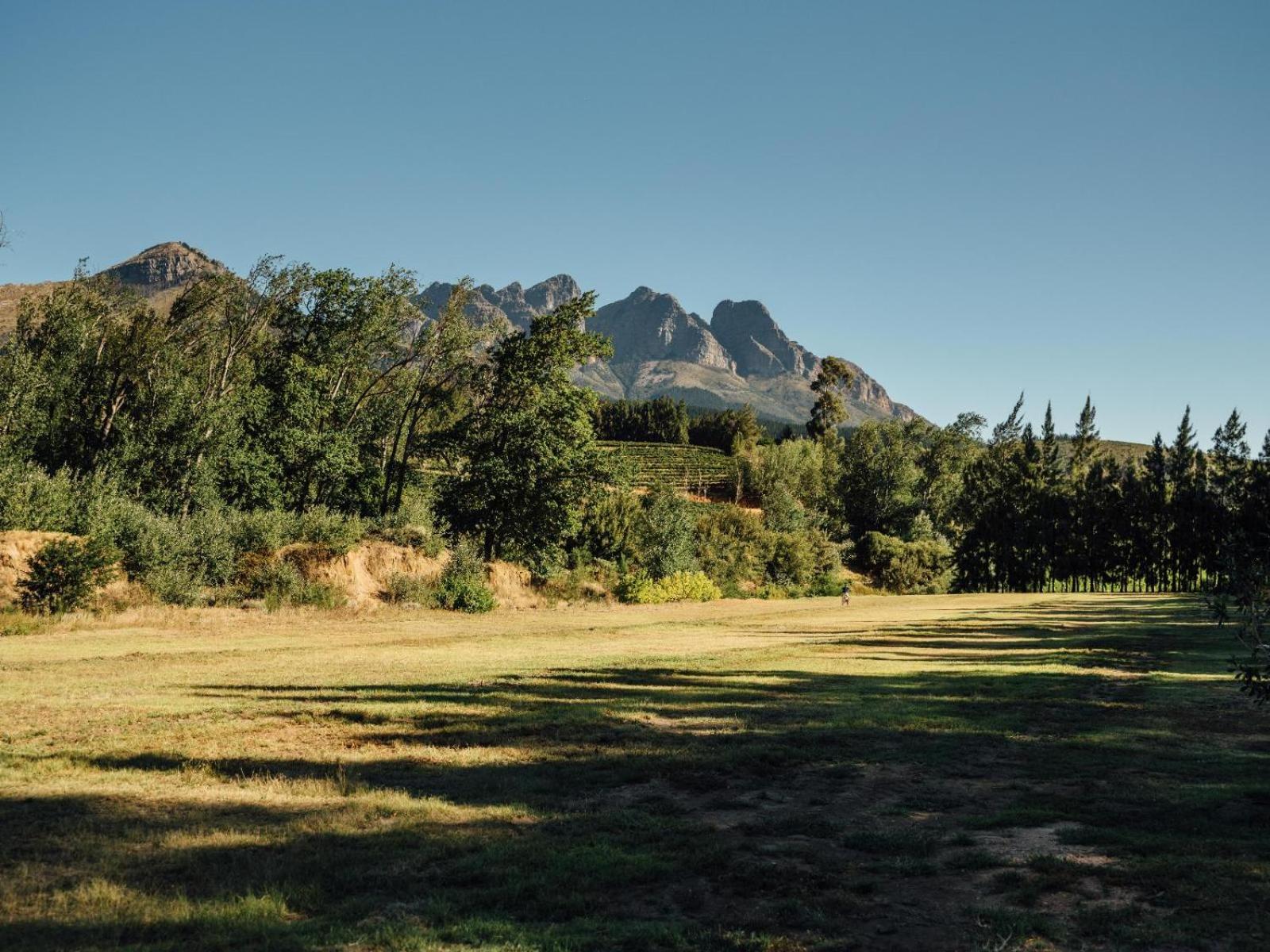 AfriCamps at Doolhof Wine Estate view 4