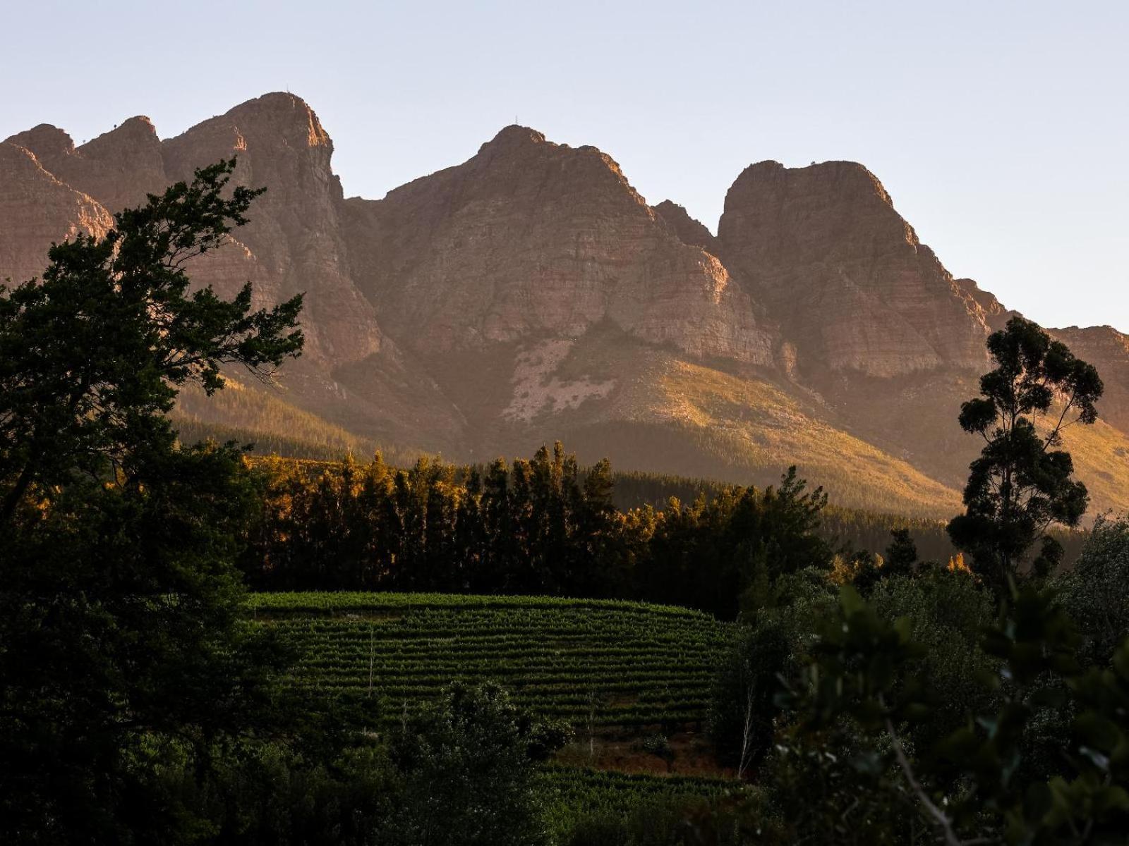AfriCamps at Doolhof Wine Estate view 5