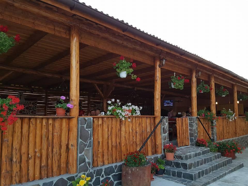 Pensiunea Cabana Stana view 2