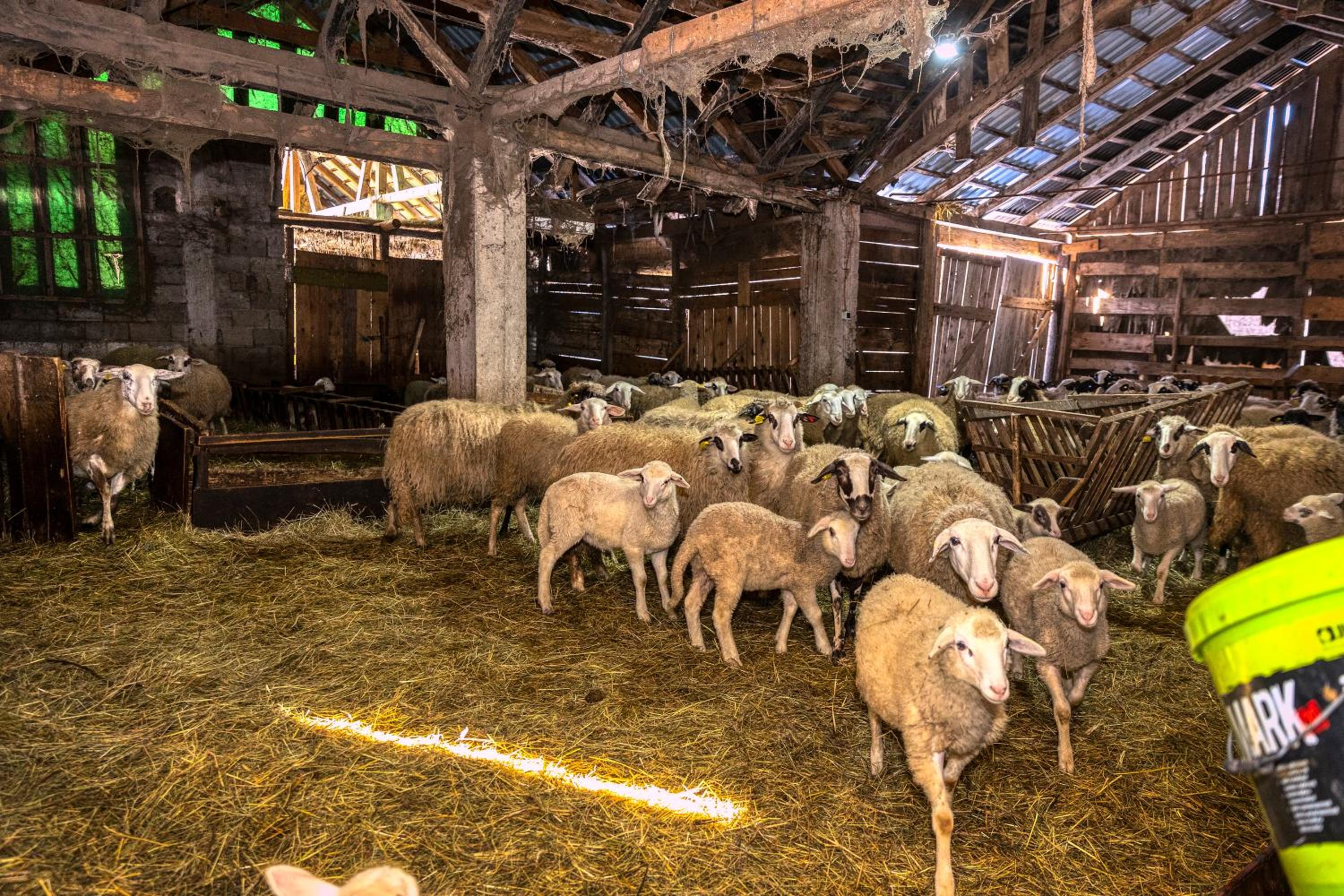 Kuća za odmor - POD VELEBITOM view 5