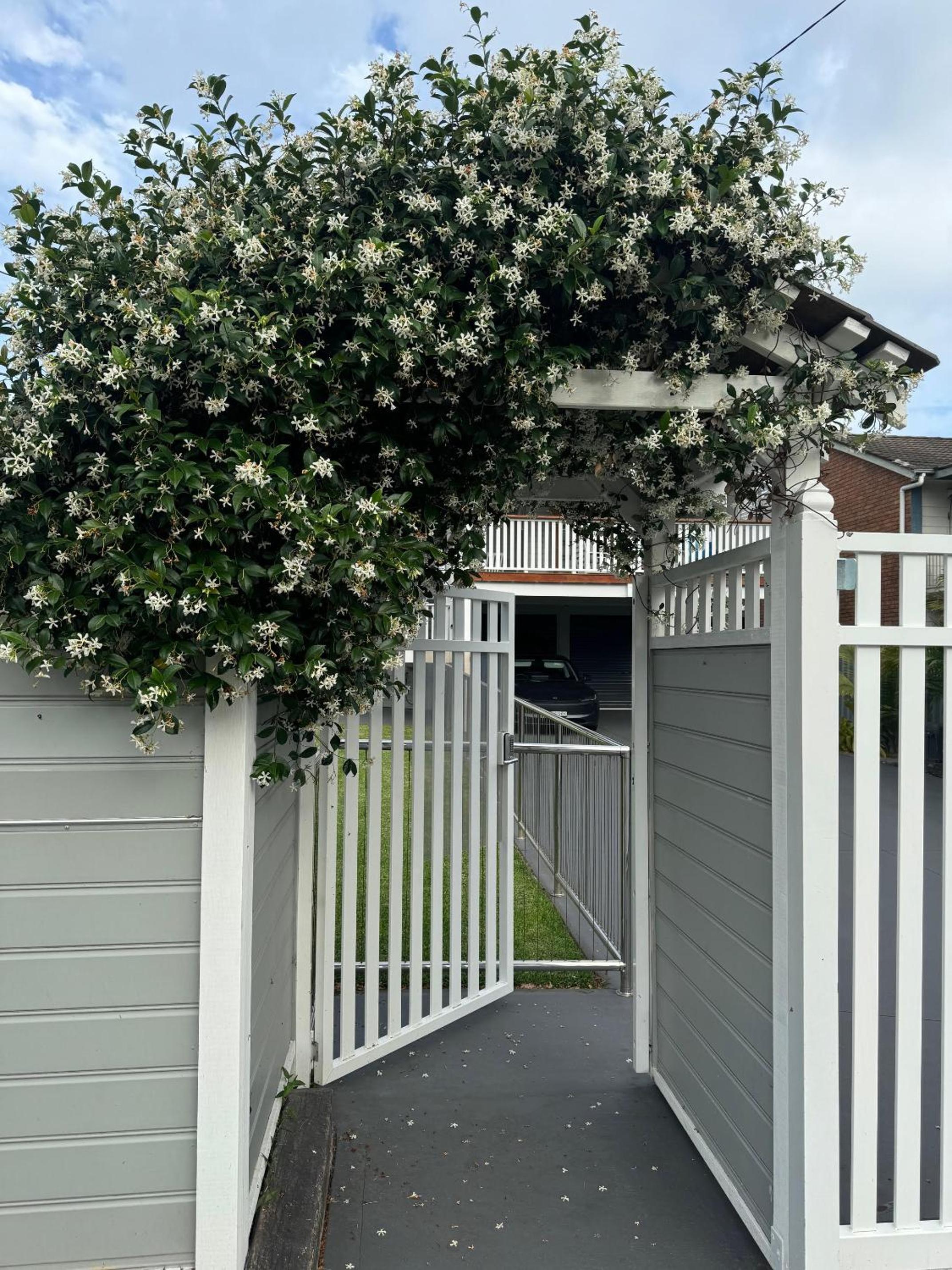 Shoaly House and Shoaly House Cottage - perfect for multiple families & wedding groups