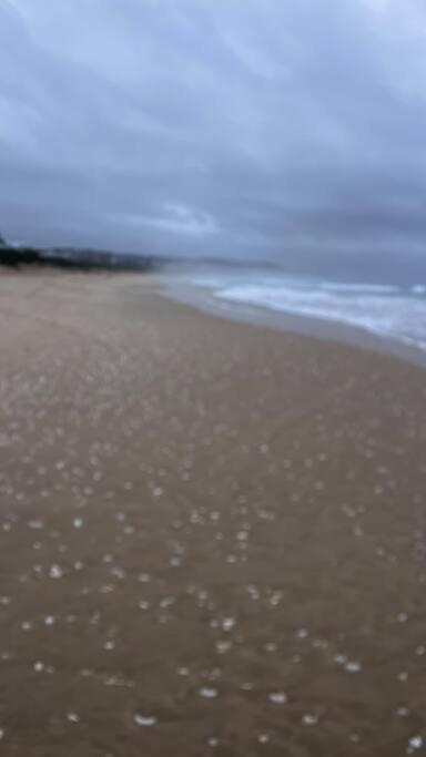 Skerryvore