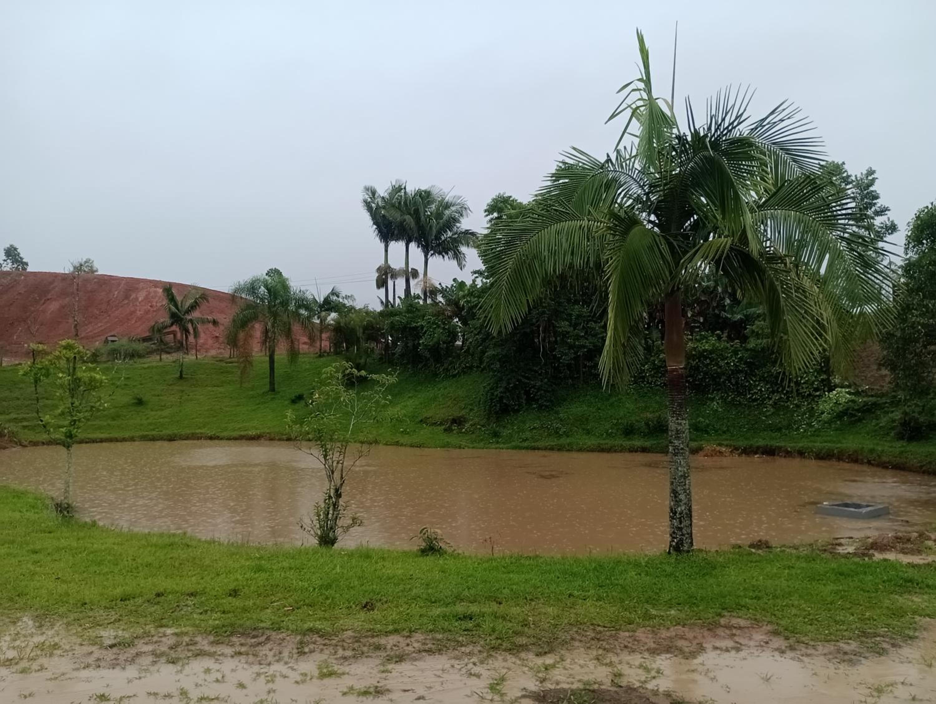 Família Cataneo