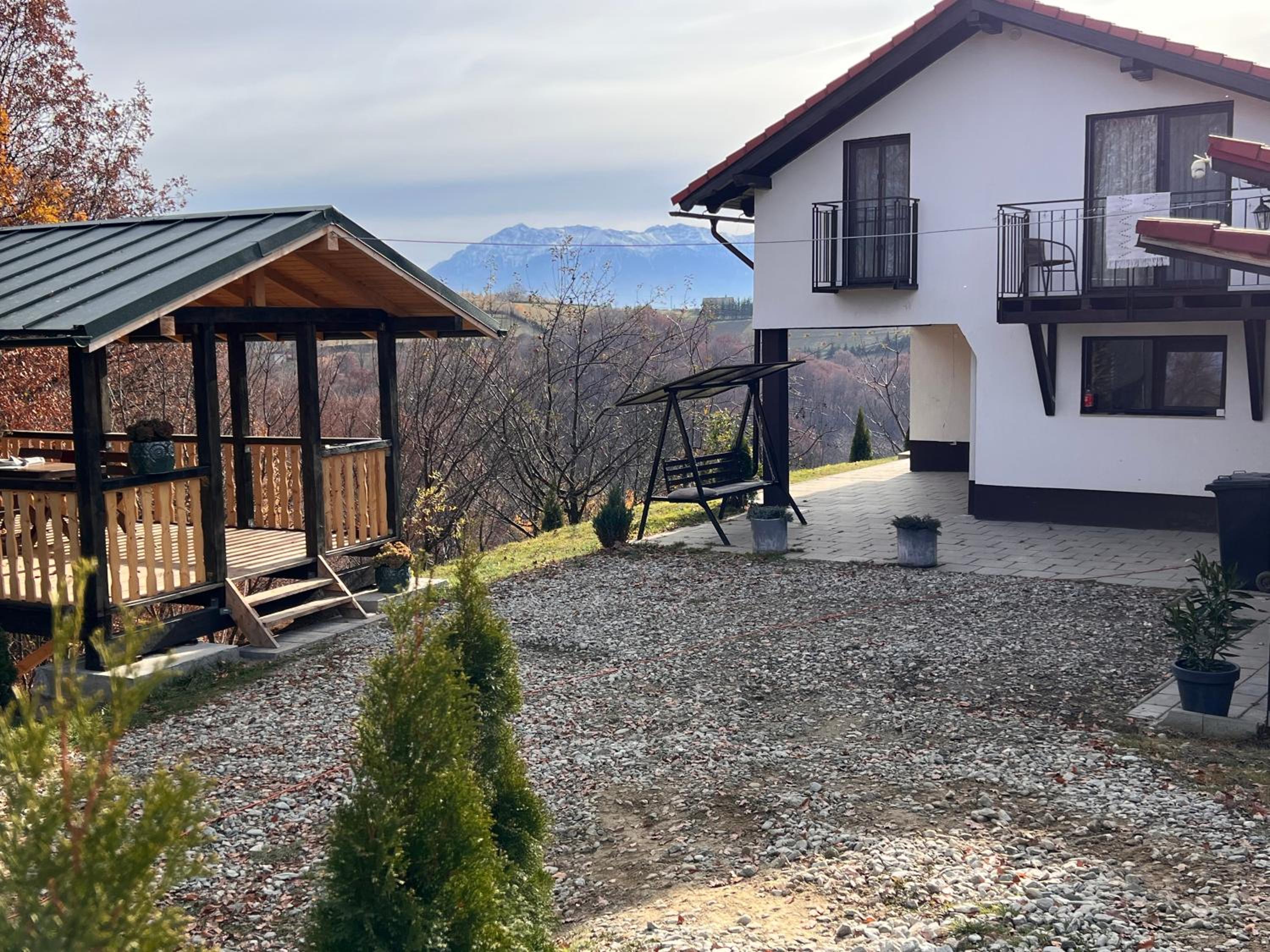 Cabana Dintre Fagi view 4