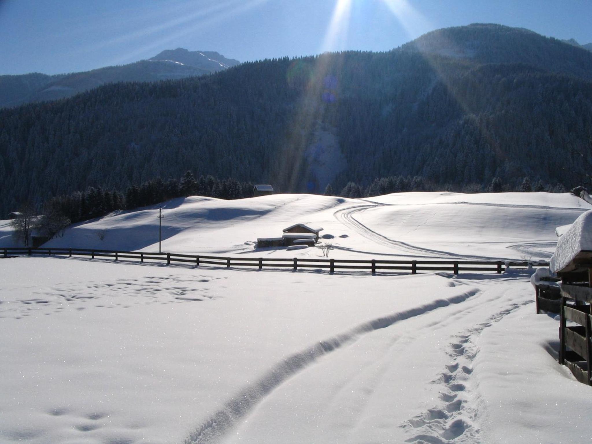 Erlebenswert Bauernhof Gruber
