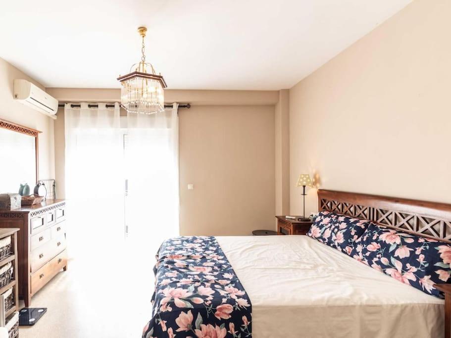 Apartamento Apolo