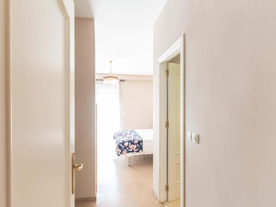 Apartamento Apolo