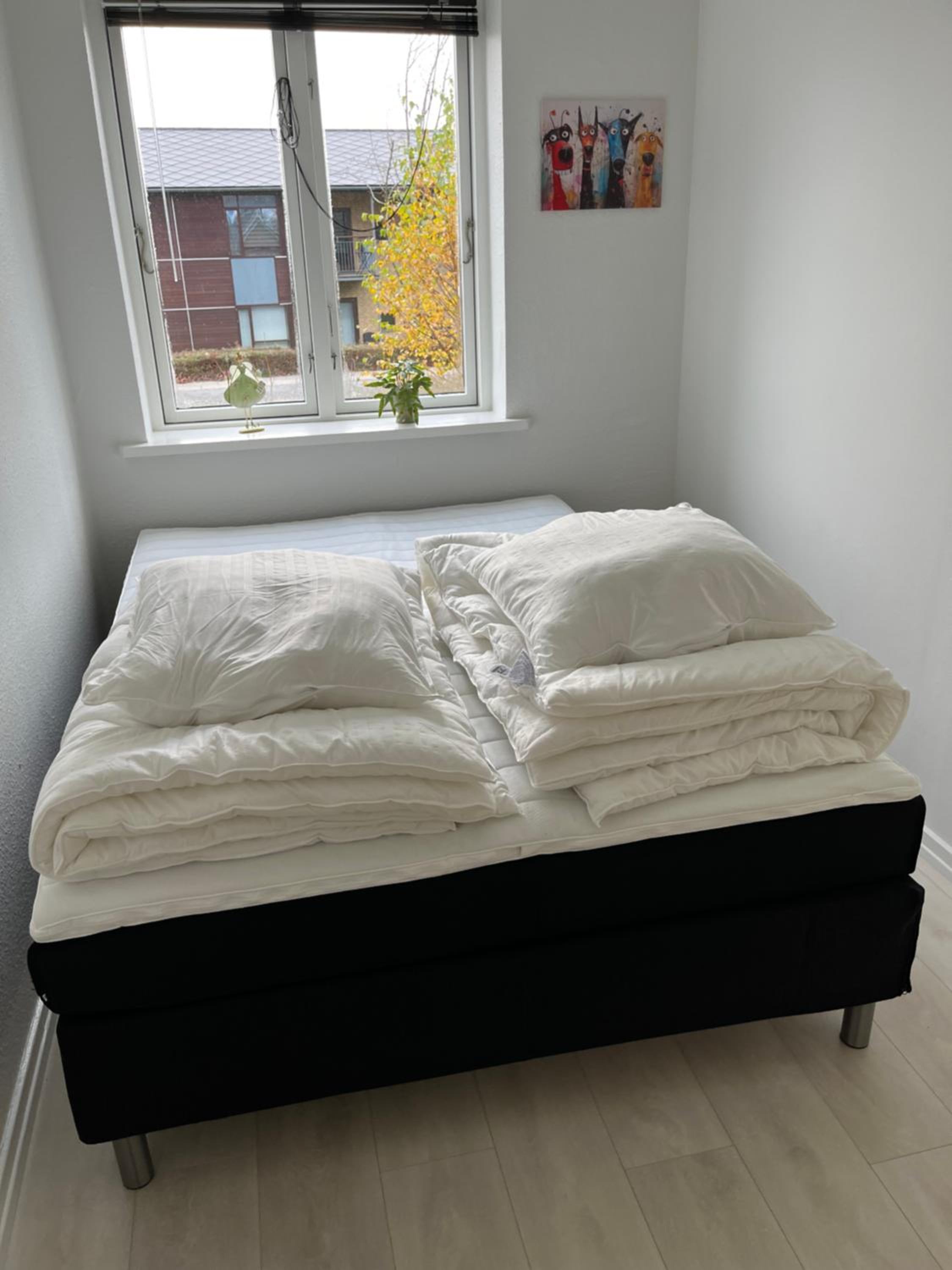 Photo 51