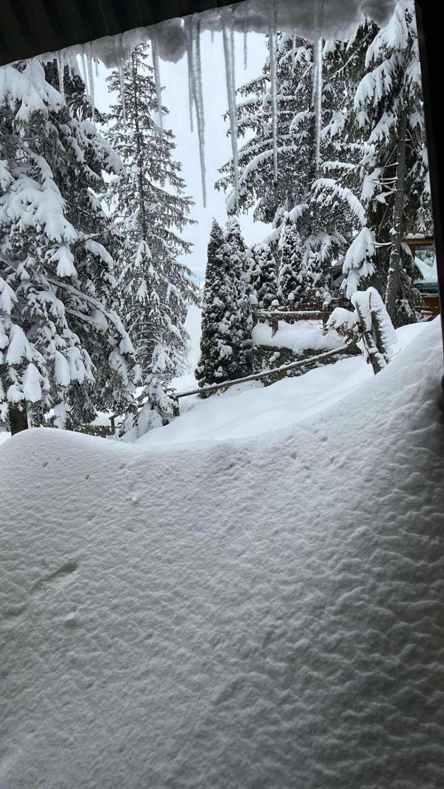 Vikendica Stjepko