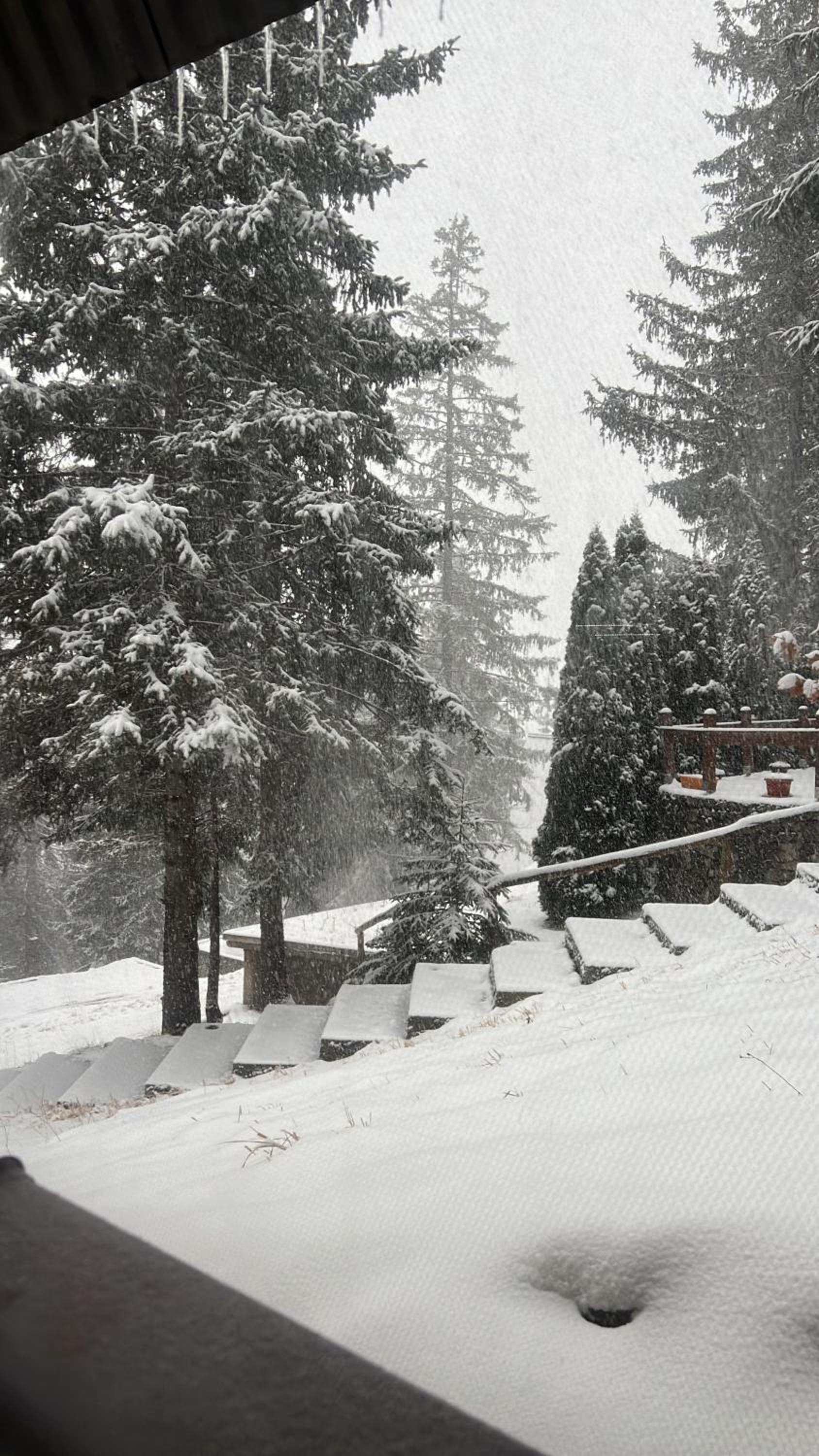 Vikendica Stjepko