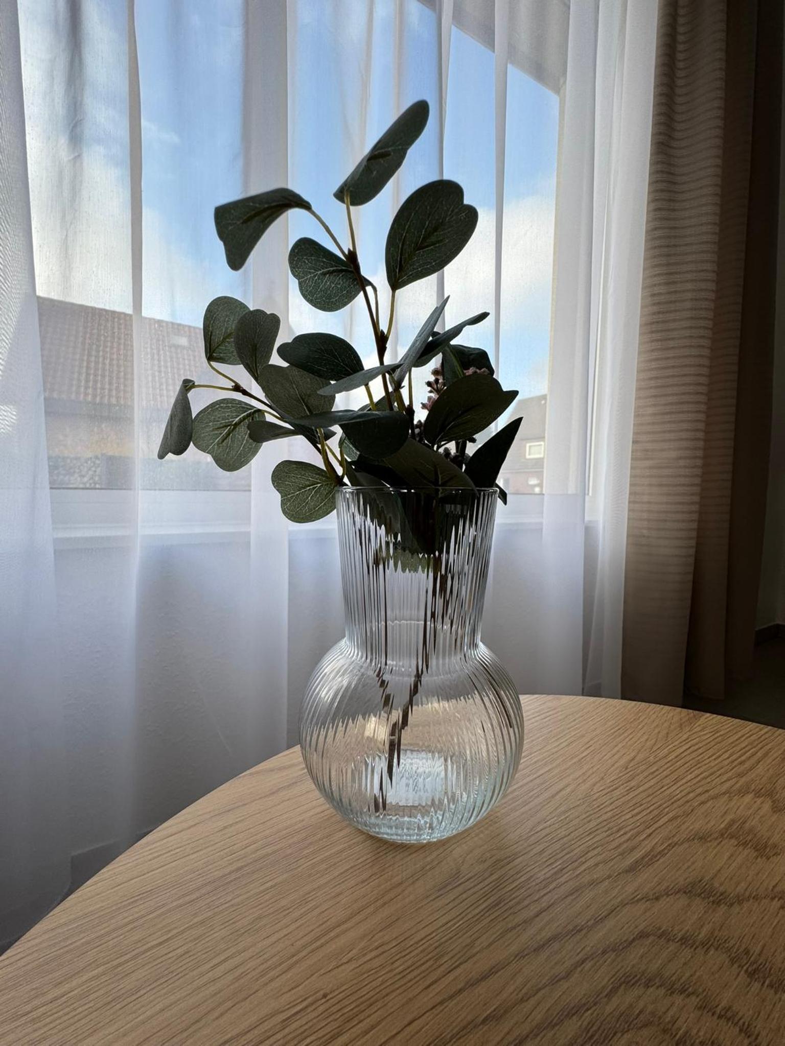 Rheiner WohlfühlSuite mit Garten