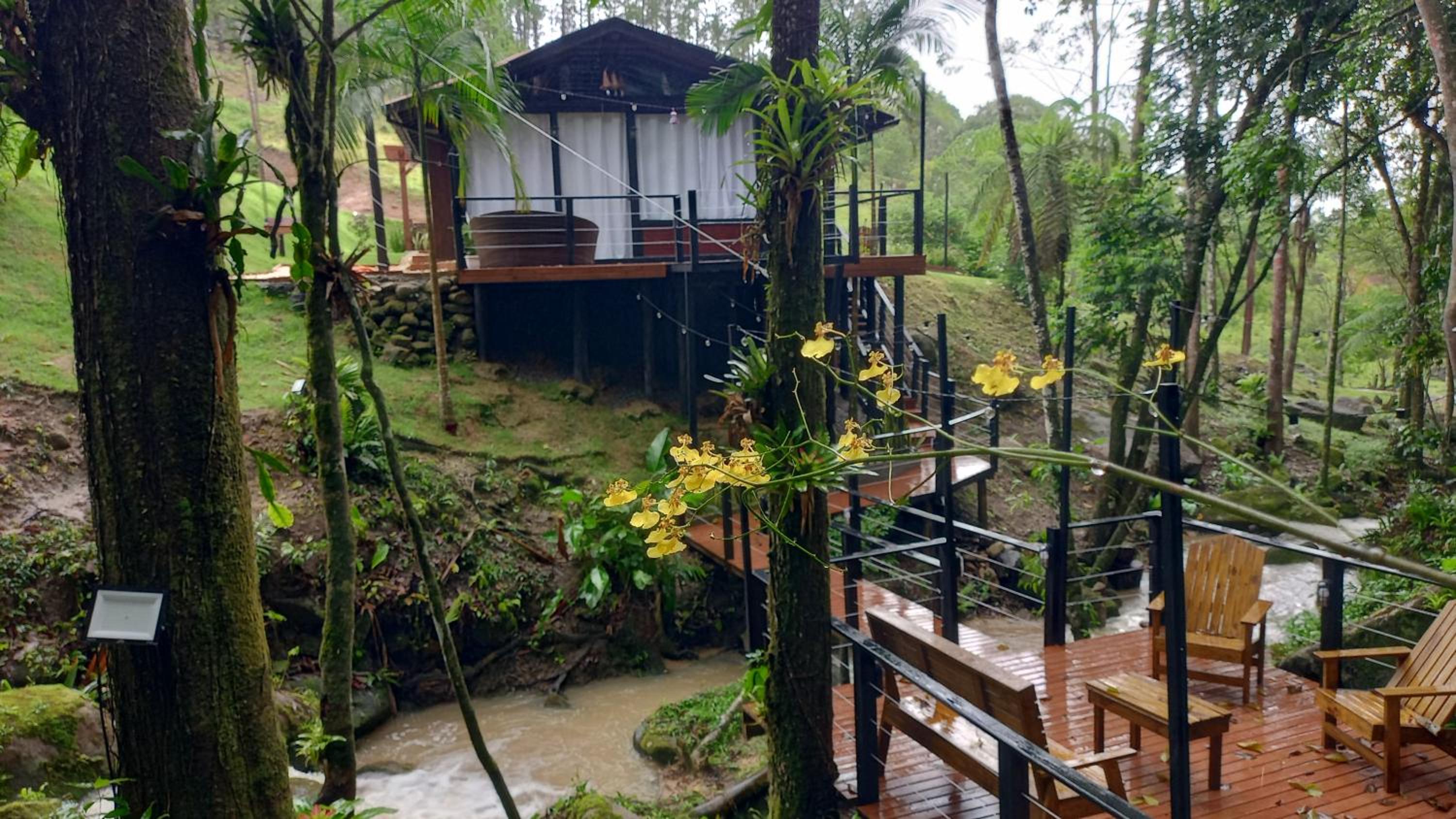 Cabana Arpuro