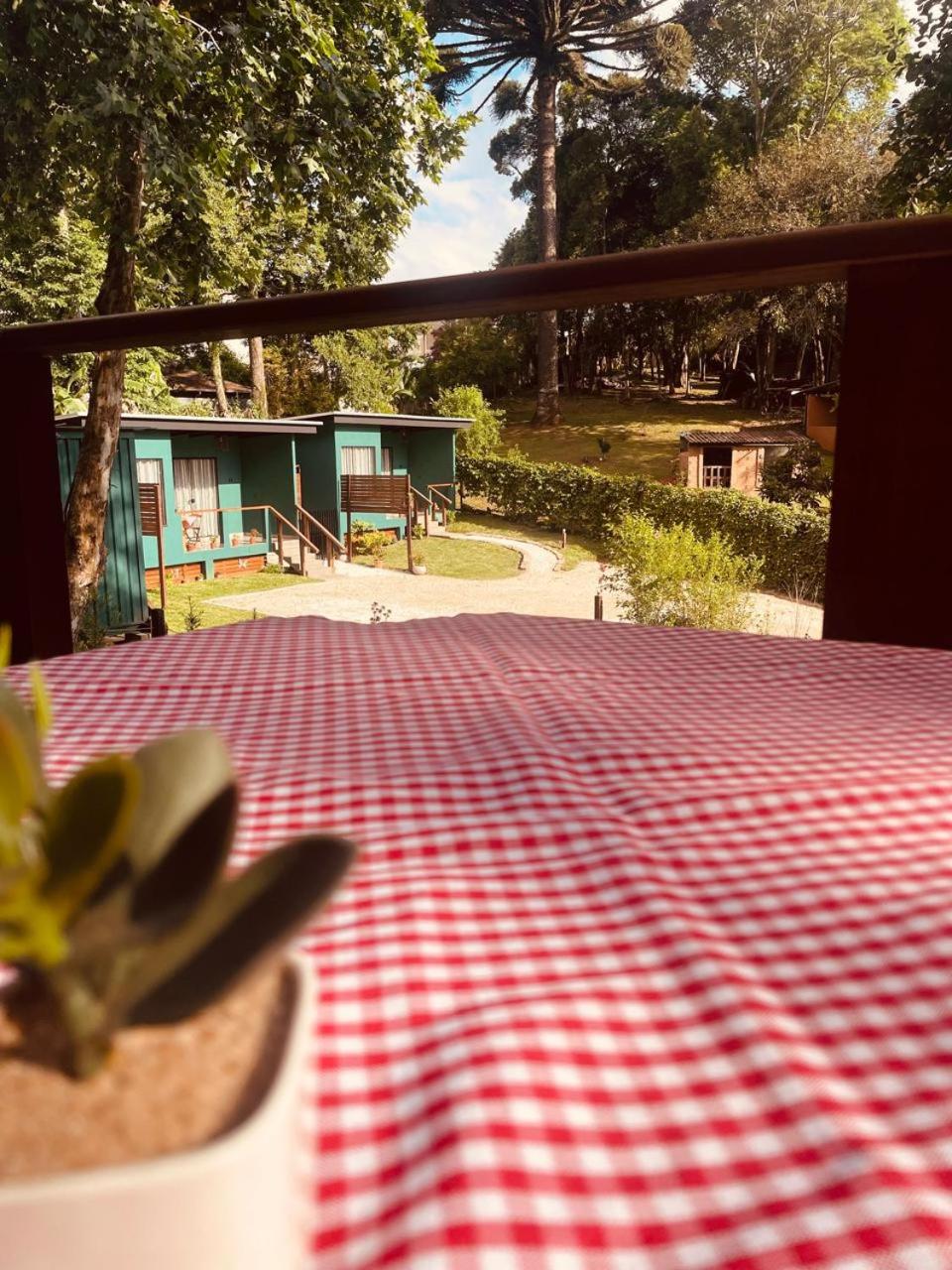 Container com Deck e Vista I Climatizado e Aconchegante em Curitiba na Natureza