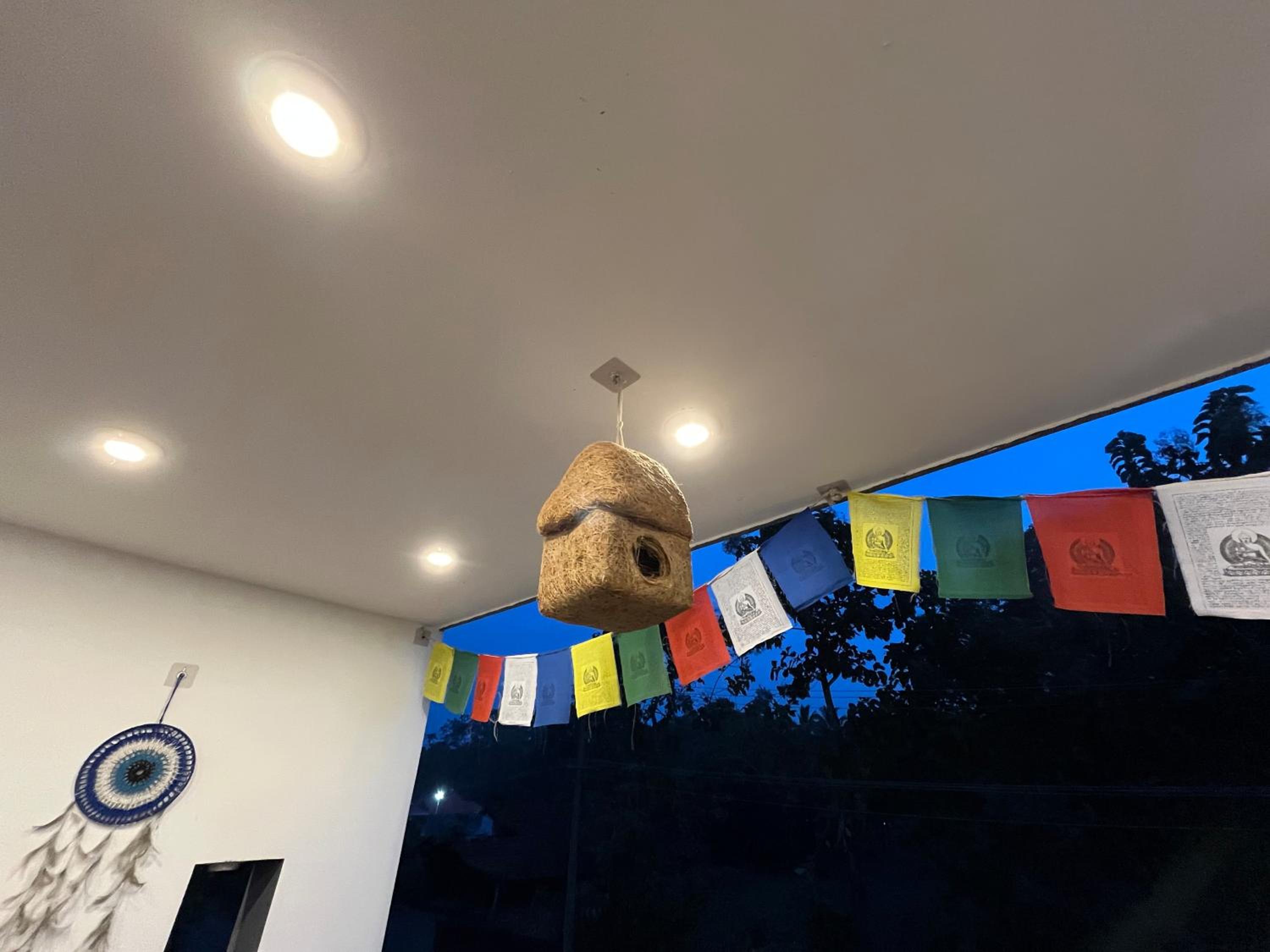 Phoenix homestay