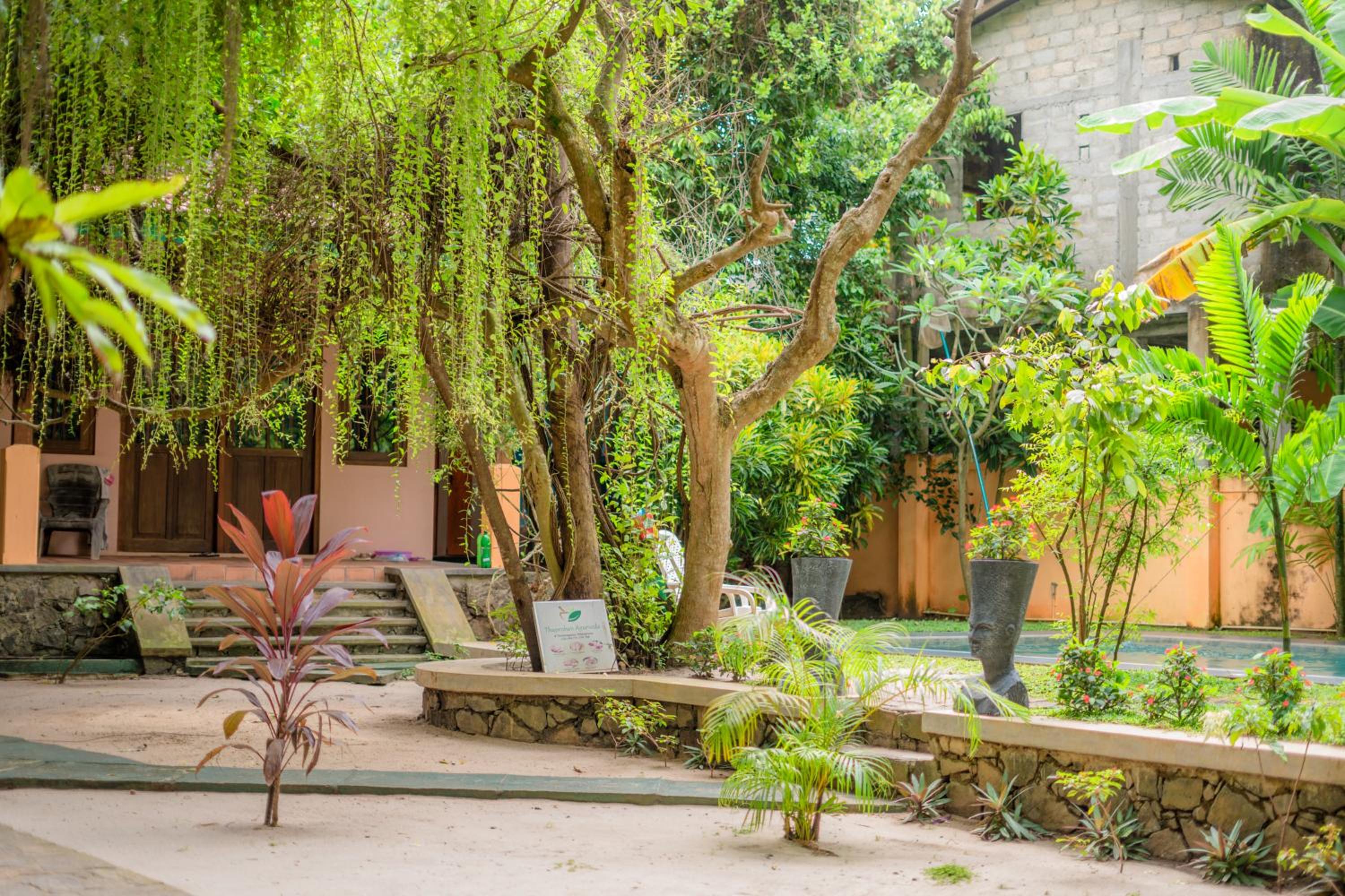 Monkey villa view 4