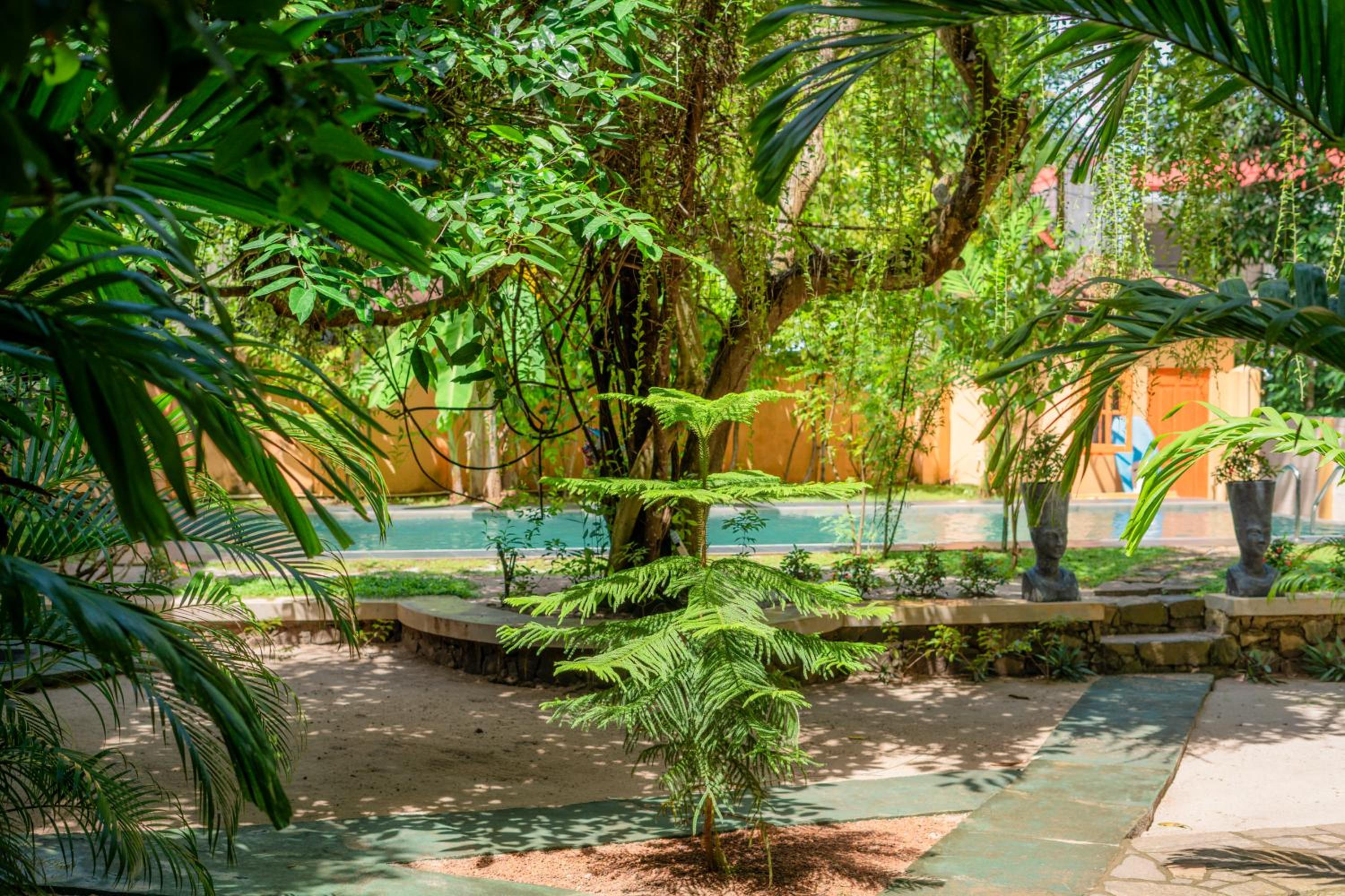 Monkey villa view 3