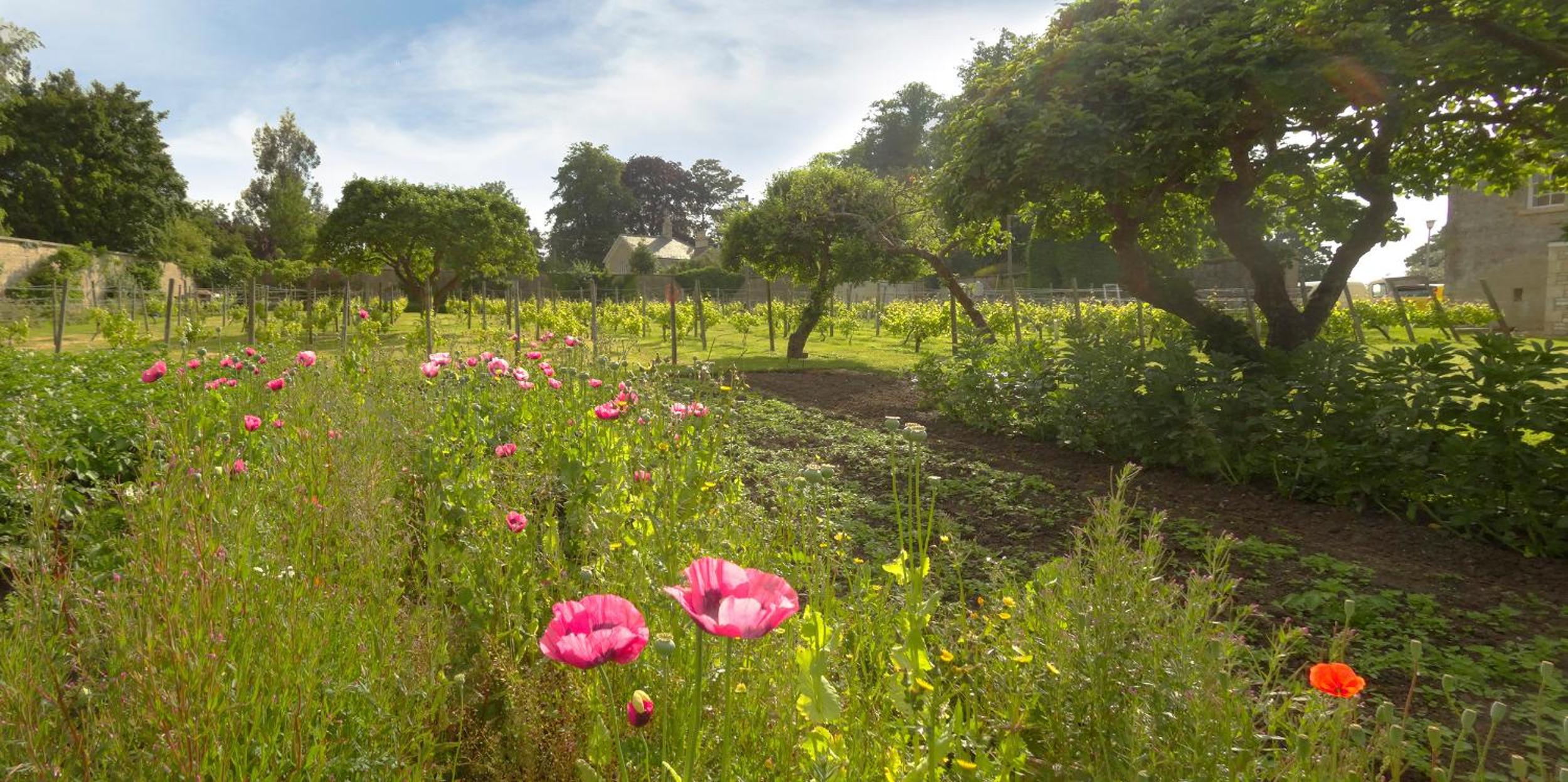 Leigh Park Country House Hotel & Vineyard, BW Signature Collection