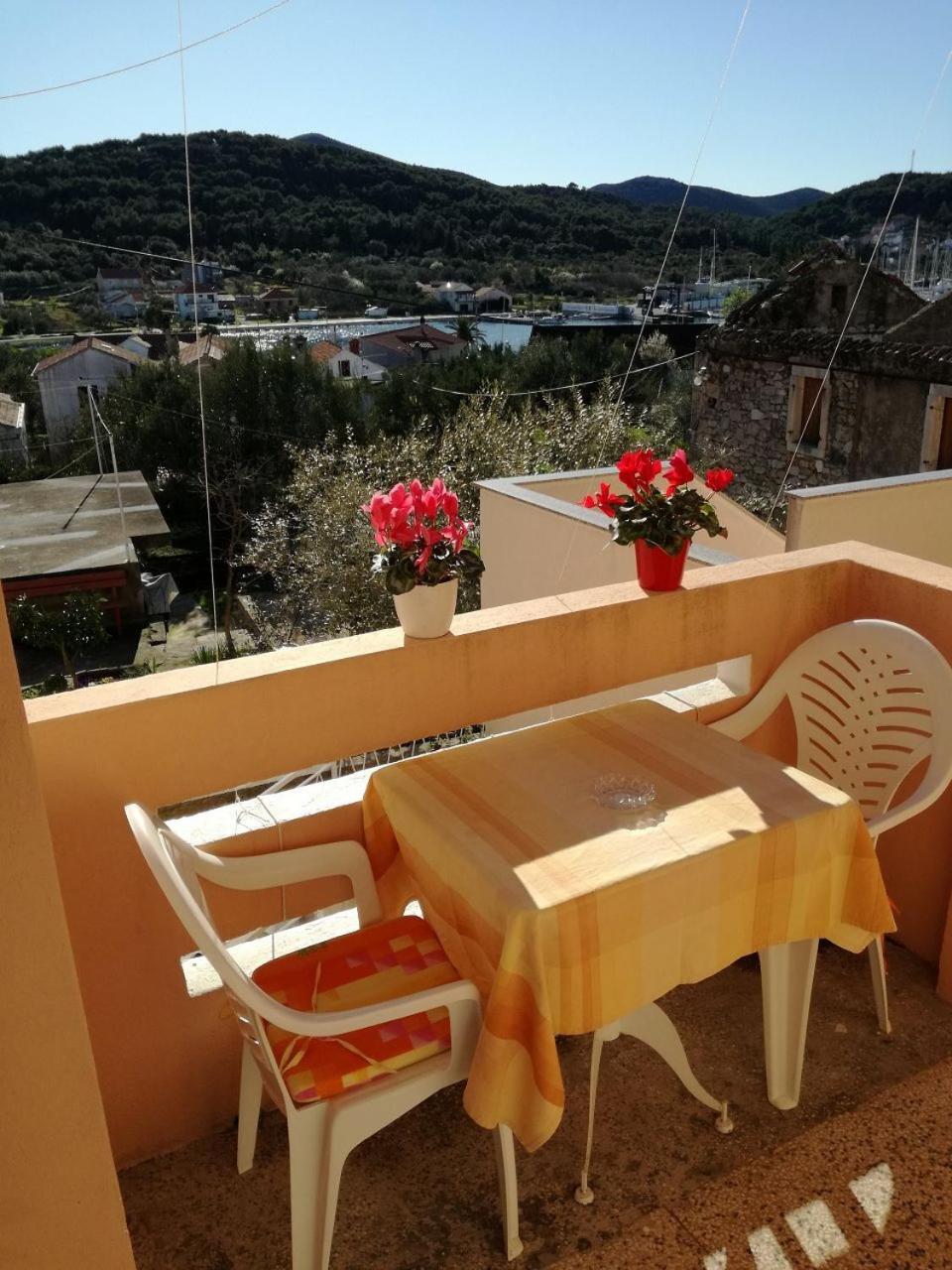 Apartment Neno view 2
