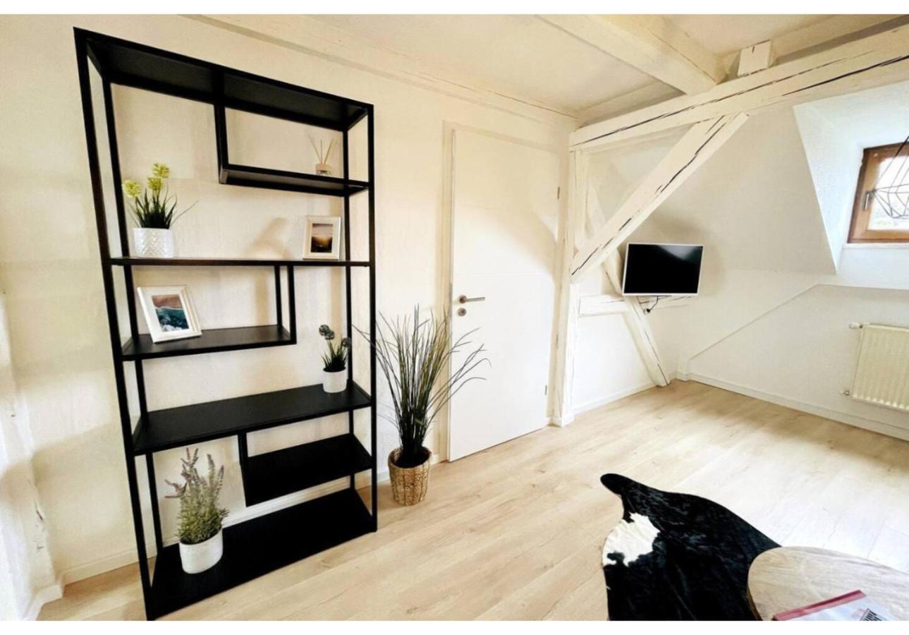 Historische Wohnung in der Zwickauer Innenstadt