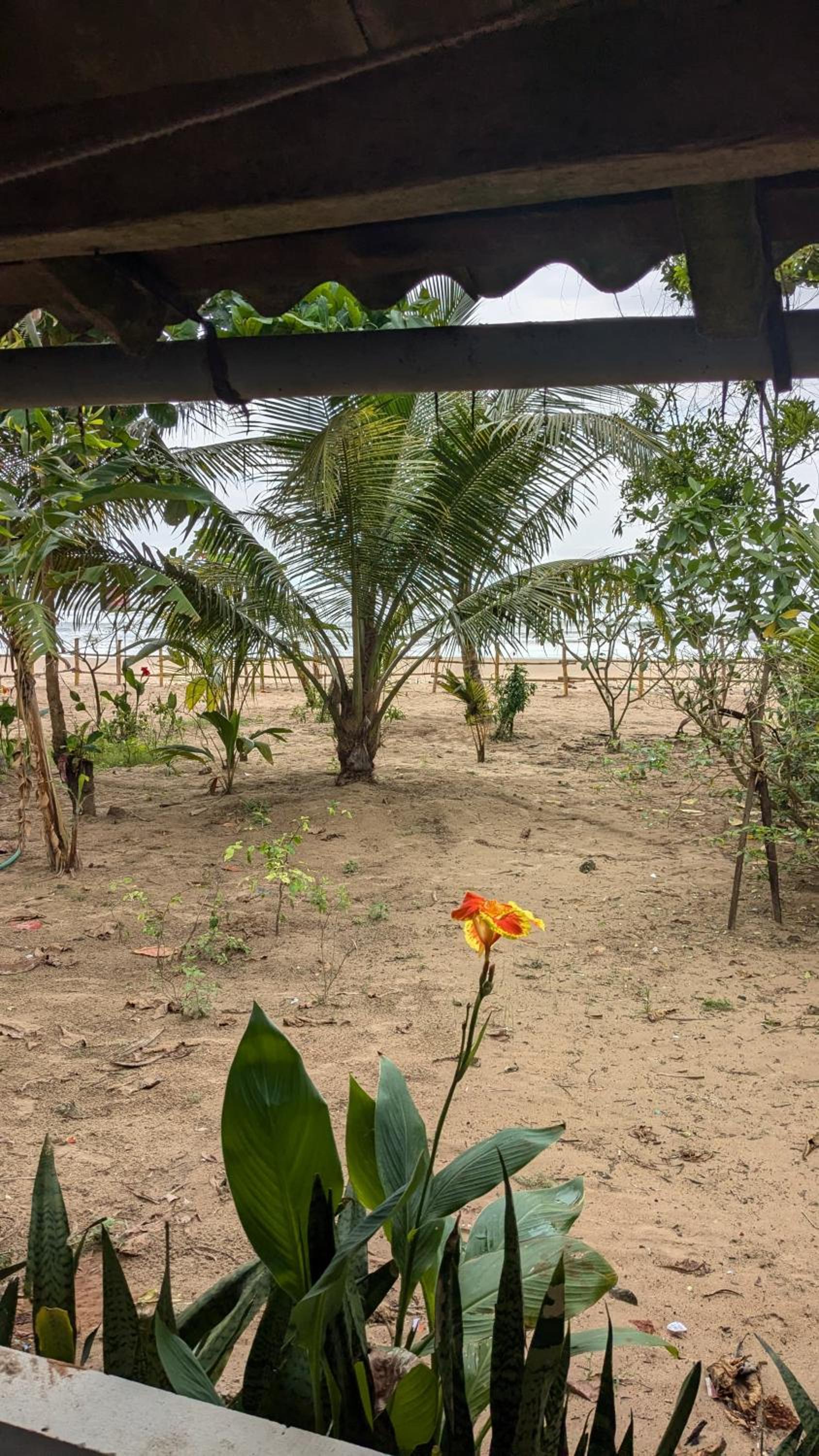 Tantra Beachstay