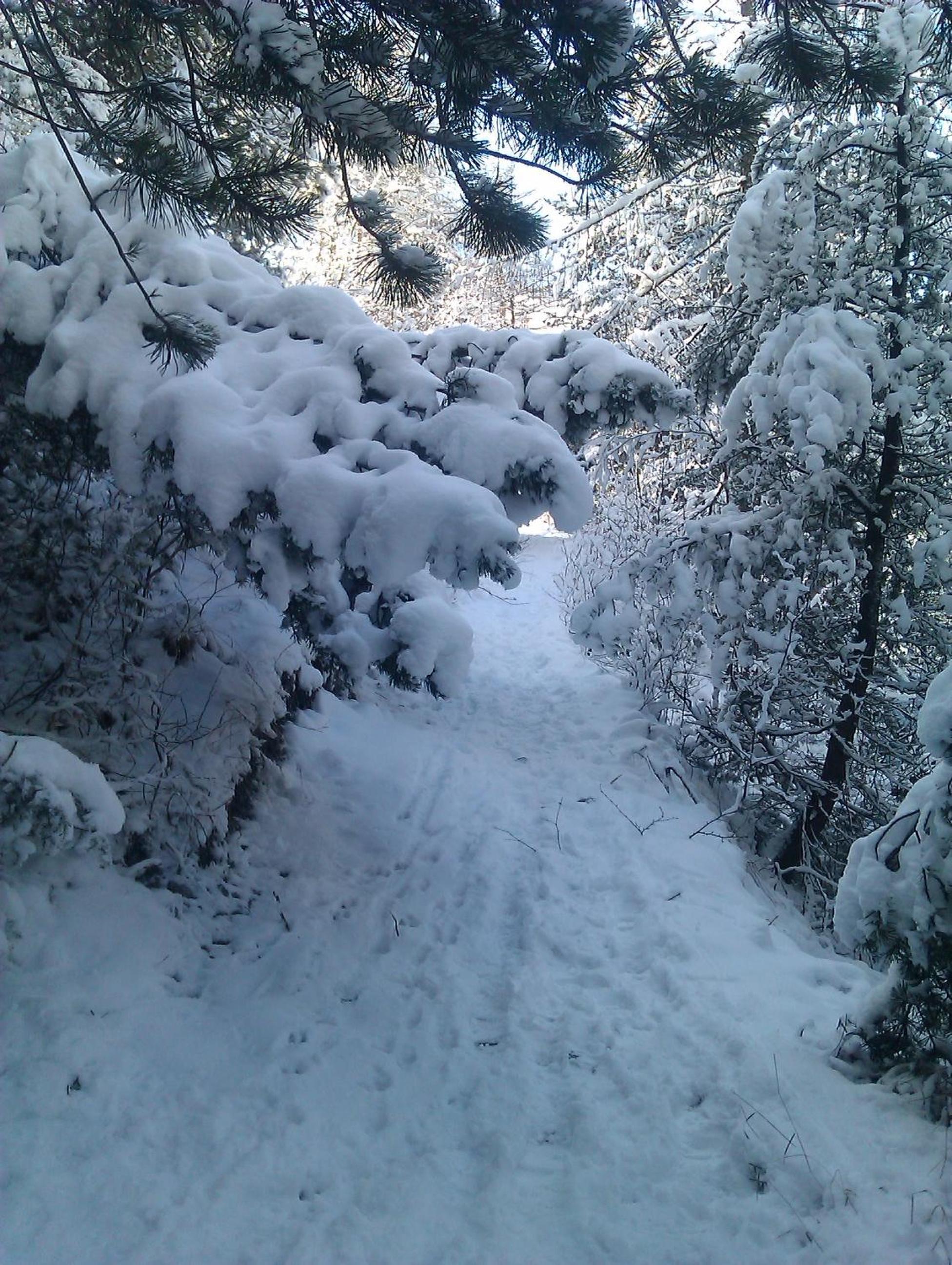 Photo 11