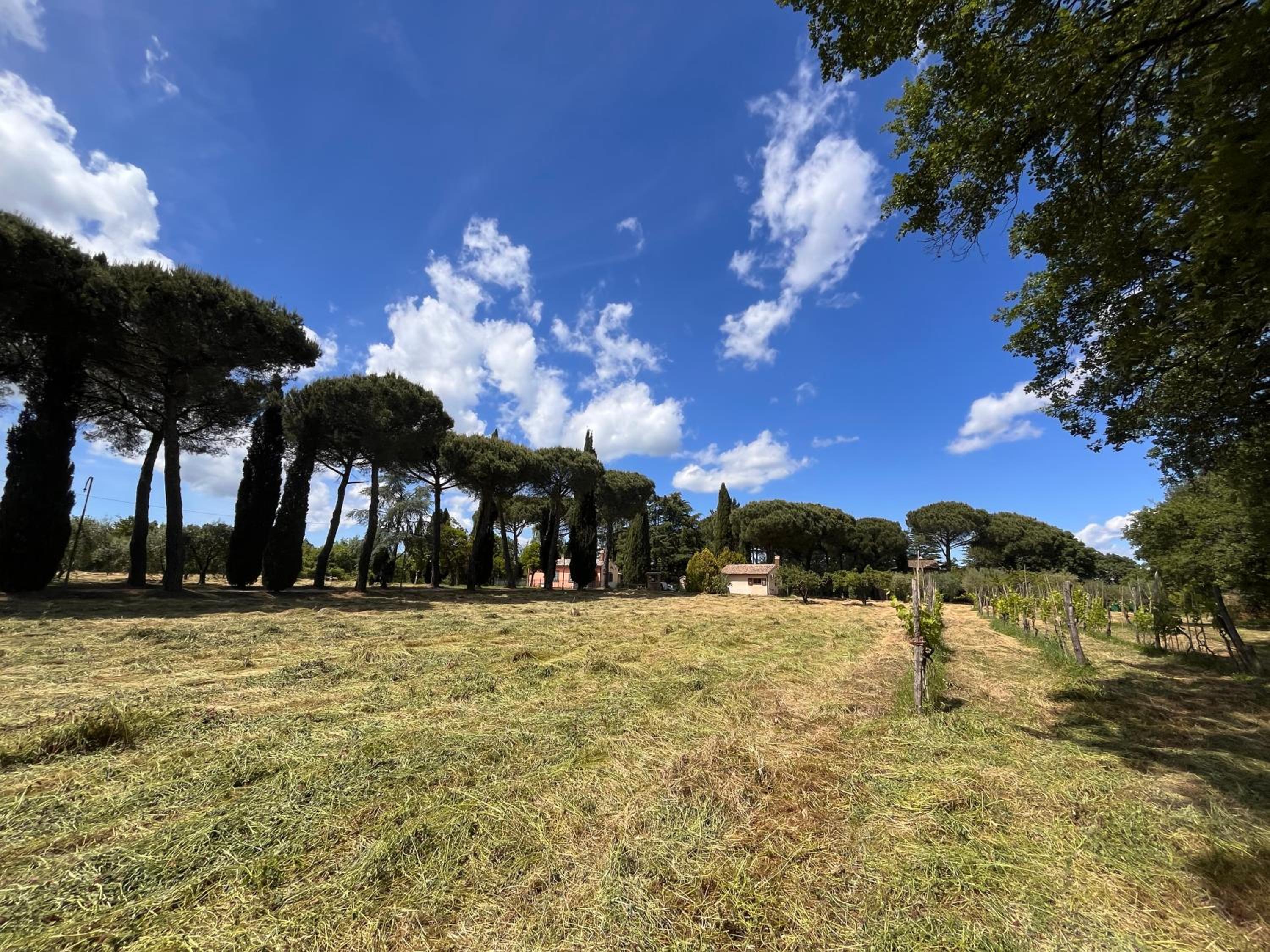 La Quiete view 3