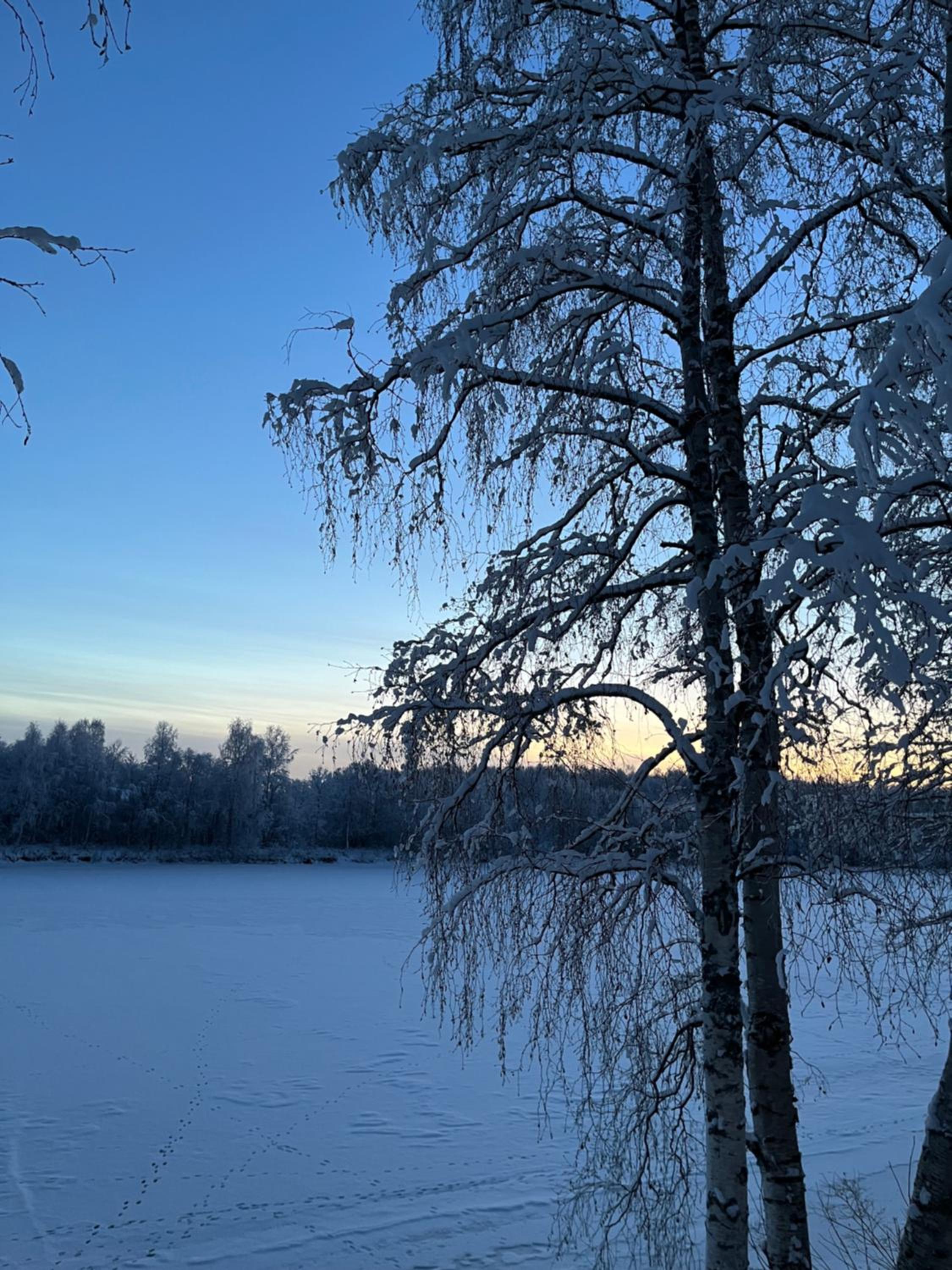Villa Ranta; Unelmiesi lomakohde upealla paikalla