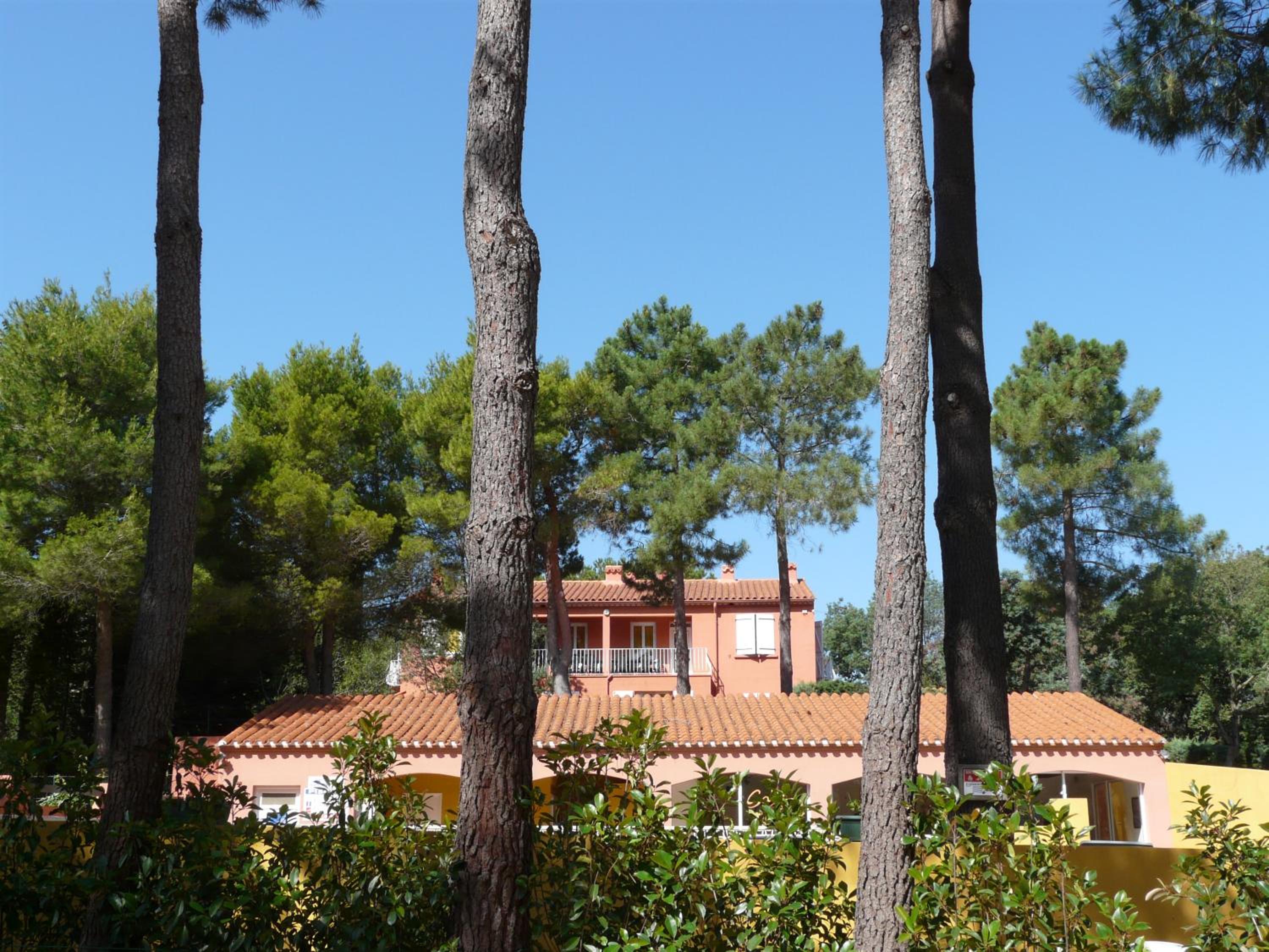 Domaine Des Mimosas, photo 2