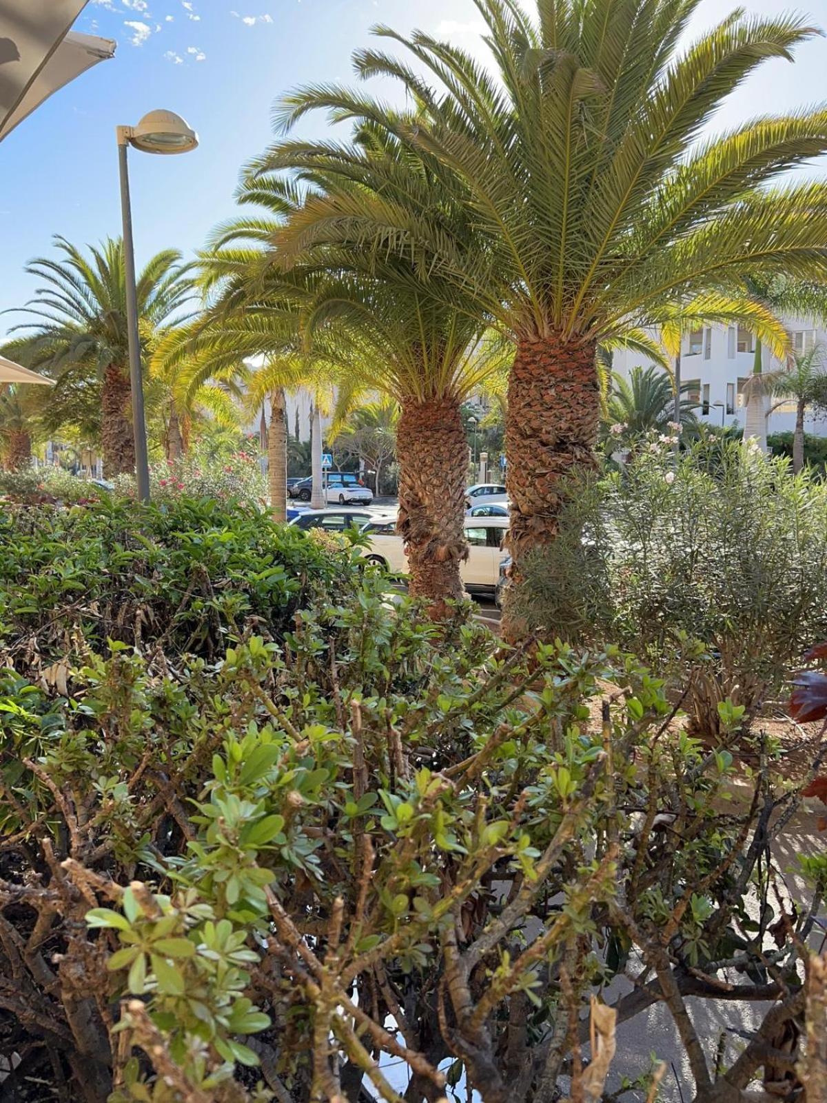 Sunset Palm Mar - Family Friendly Suites