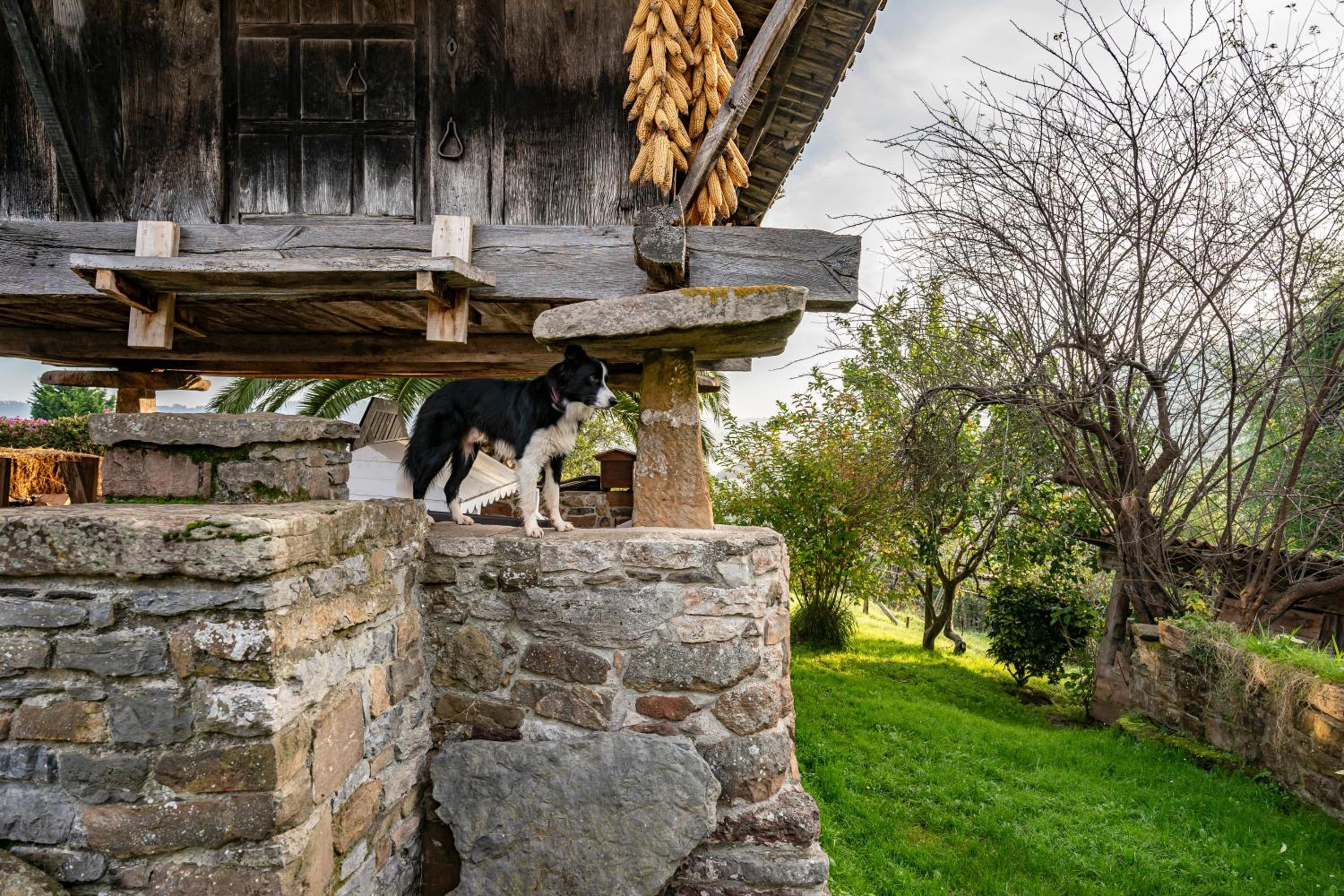 La Casina Del Fresnu