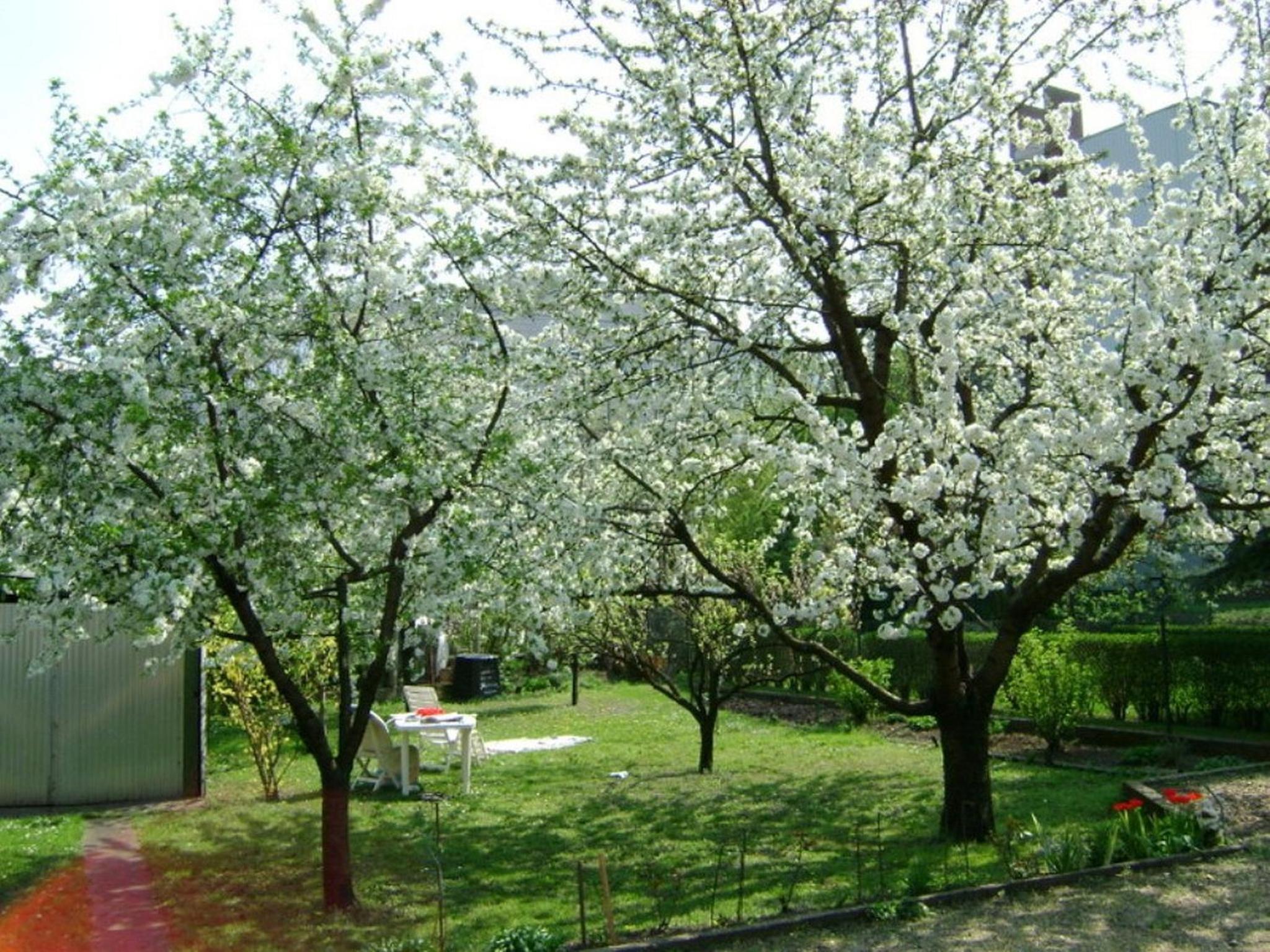 Haus in Budapest mit Garten view 3