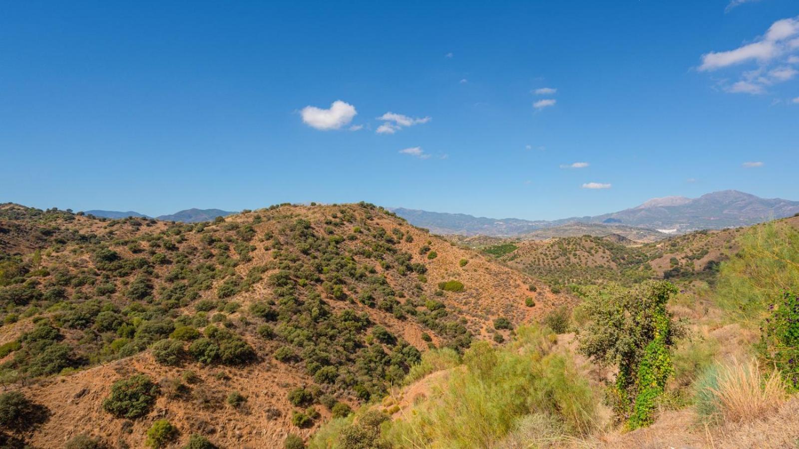 Finca Corazón Andaluz Coín by Ruralidays