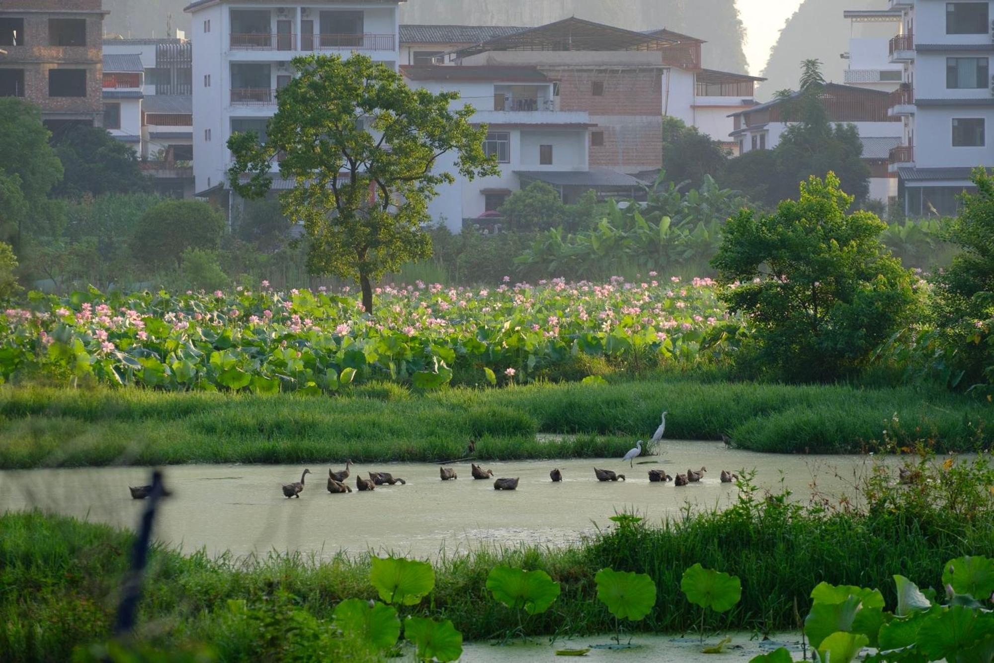 Yangshuo Hillside Homestay