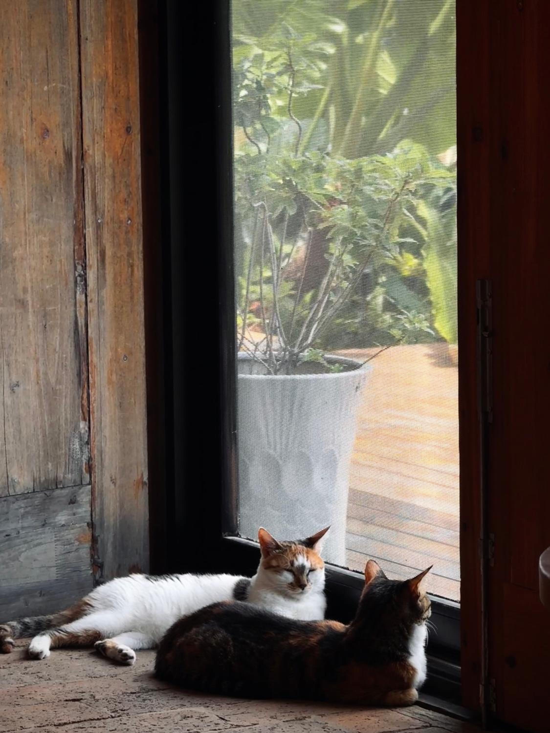 Yangshuo Hillside Homestay
