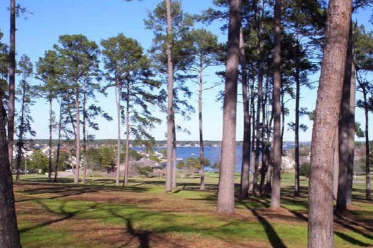 Window to Paris Studio on Lake Conroe view 2