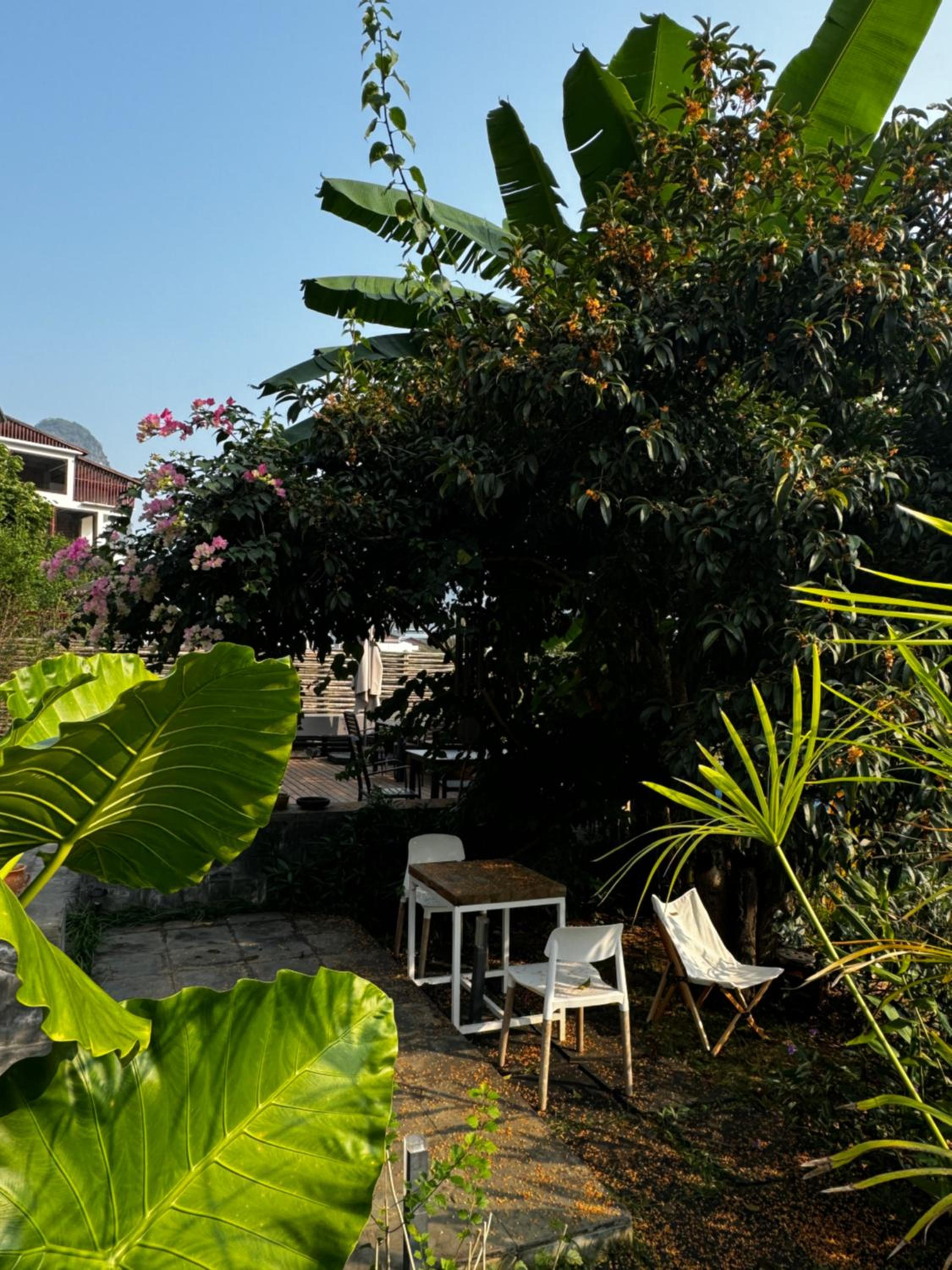 Yangshuo Hillside Homestay