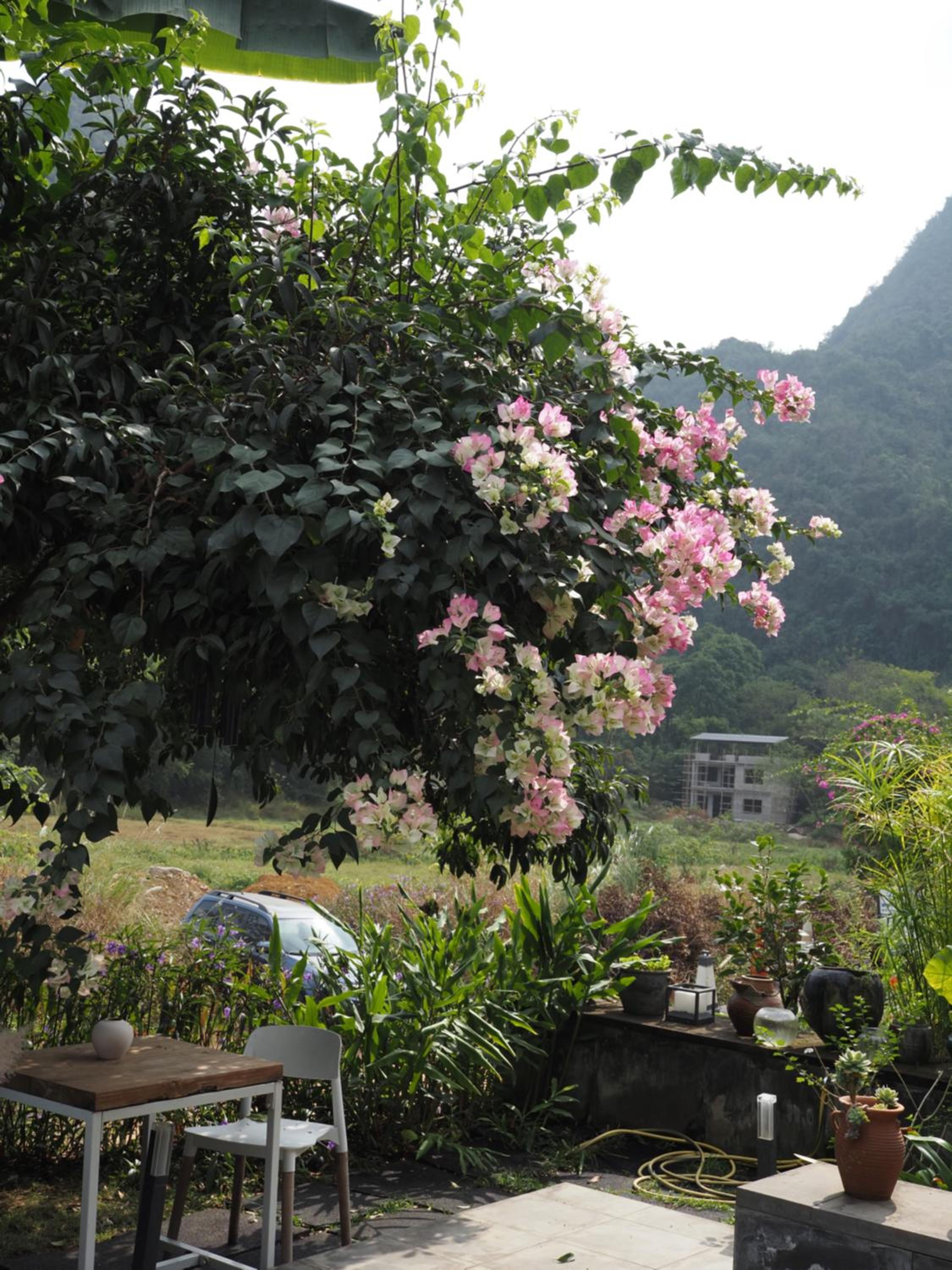 Yangshuo Hillside Homestay