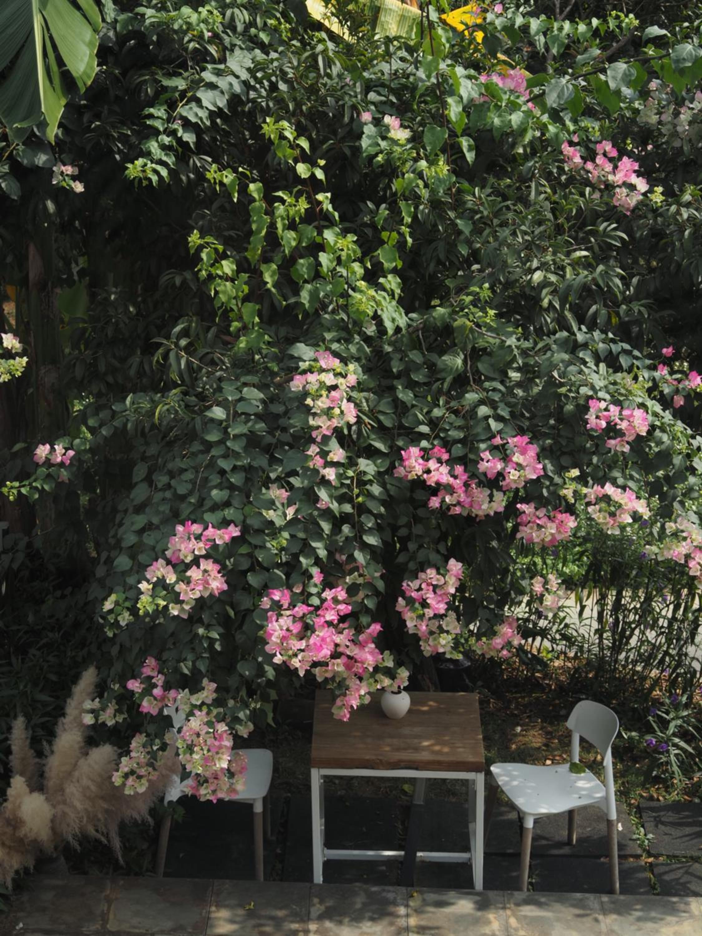 Yangshuo Hillside Homestay