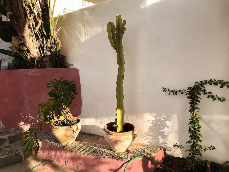 Little Paradise in Fuente Conejo