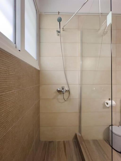 Terpsixoris cozy apartment in Paleo Faliro