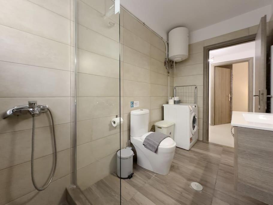 Terpsixoris cozy apartment in Paleo Faliro