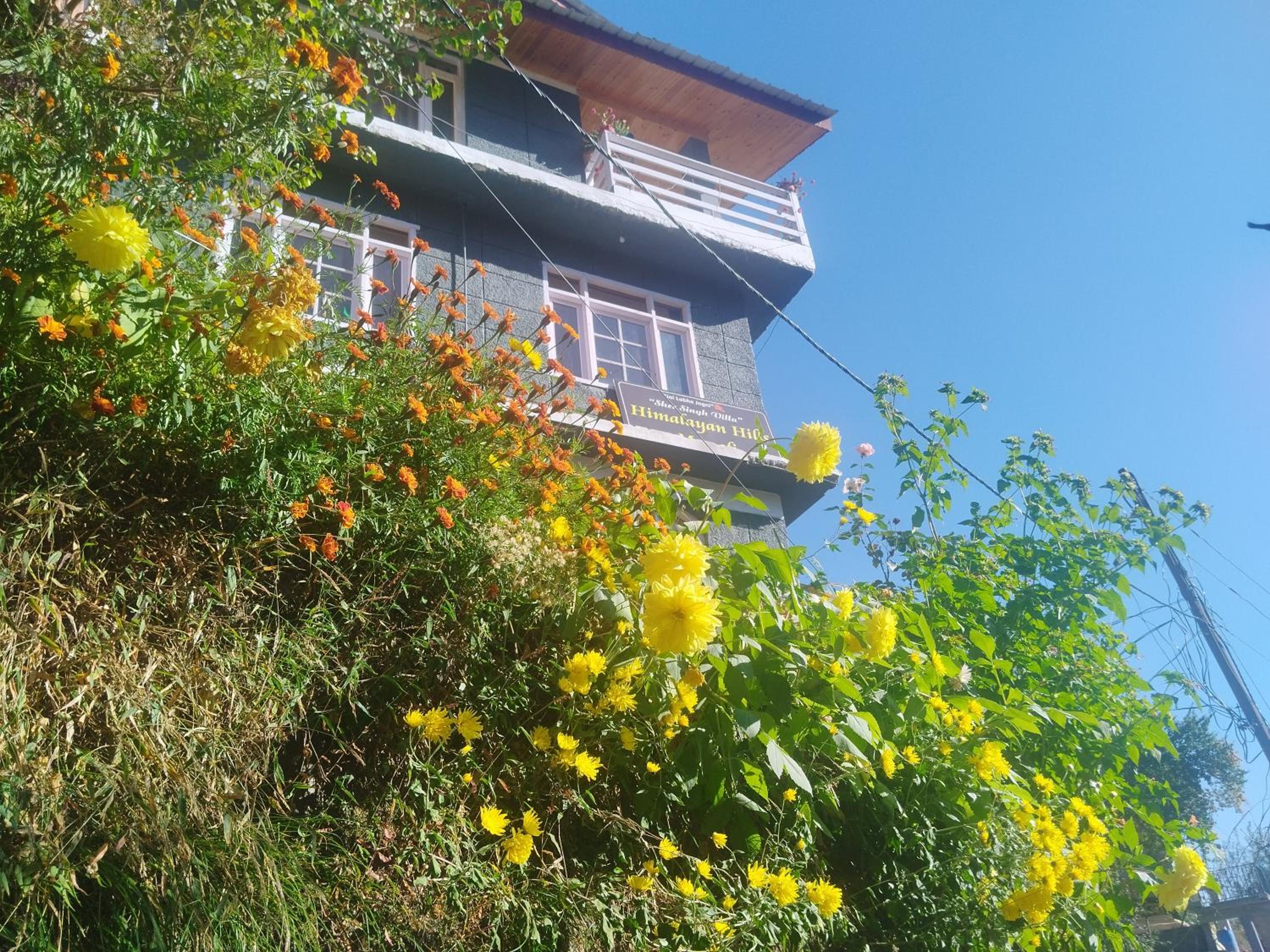 Photo 6