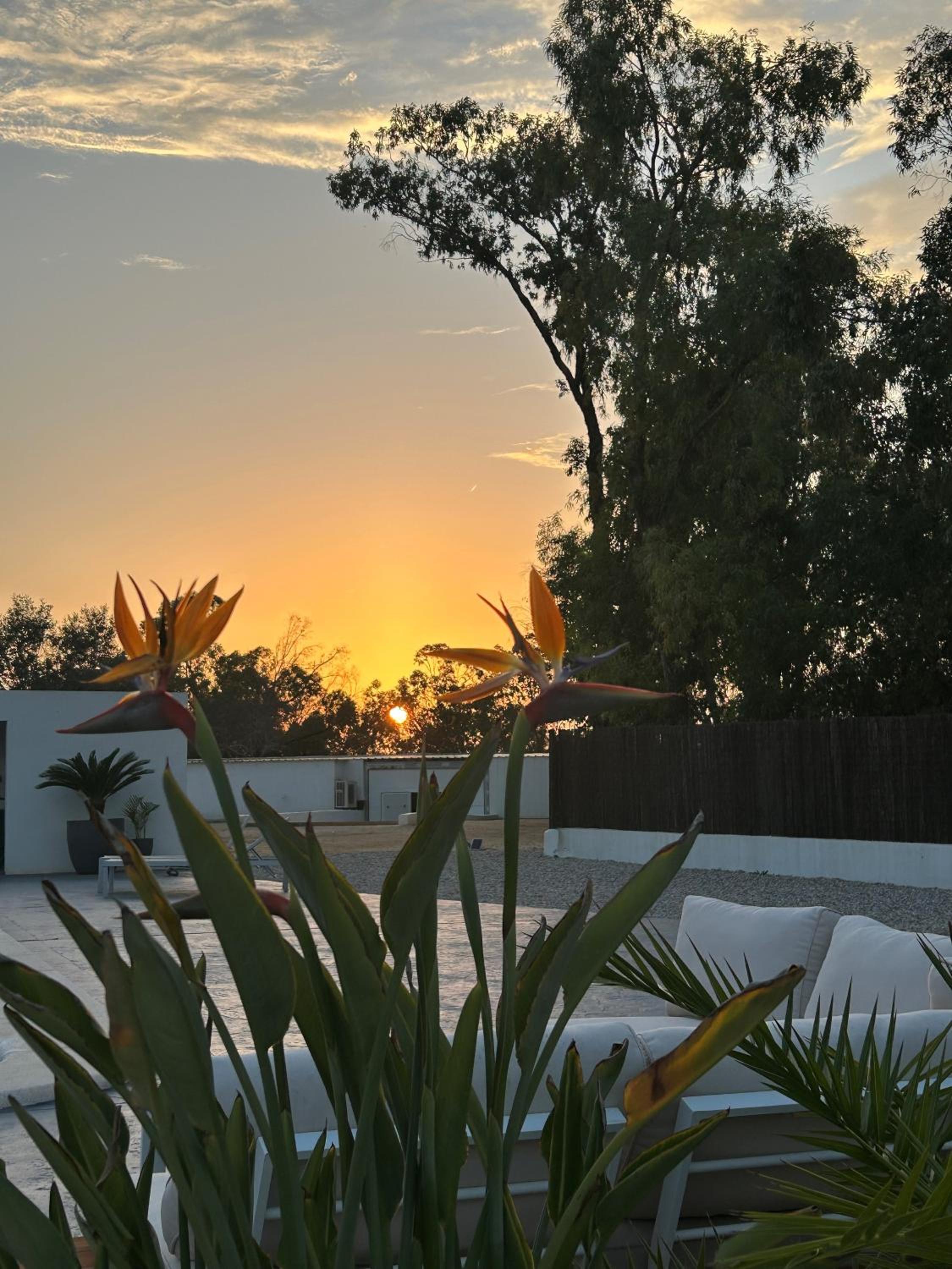 Finca Punta Serra