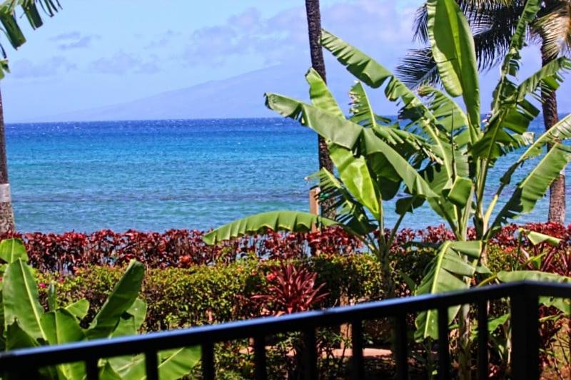 Paki Maui #109